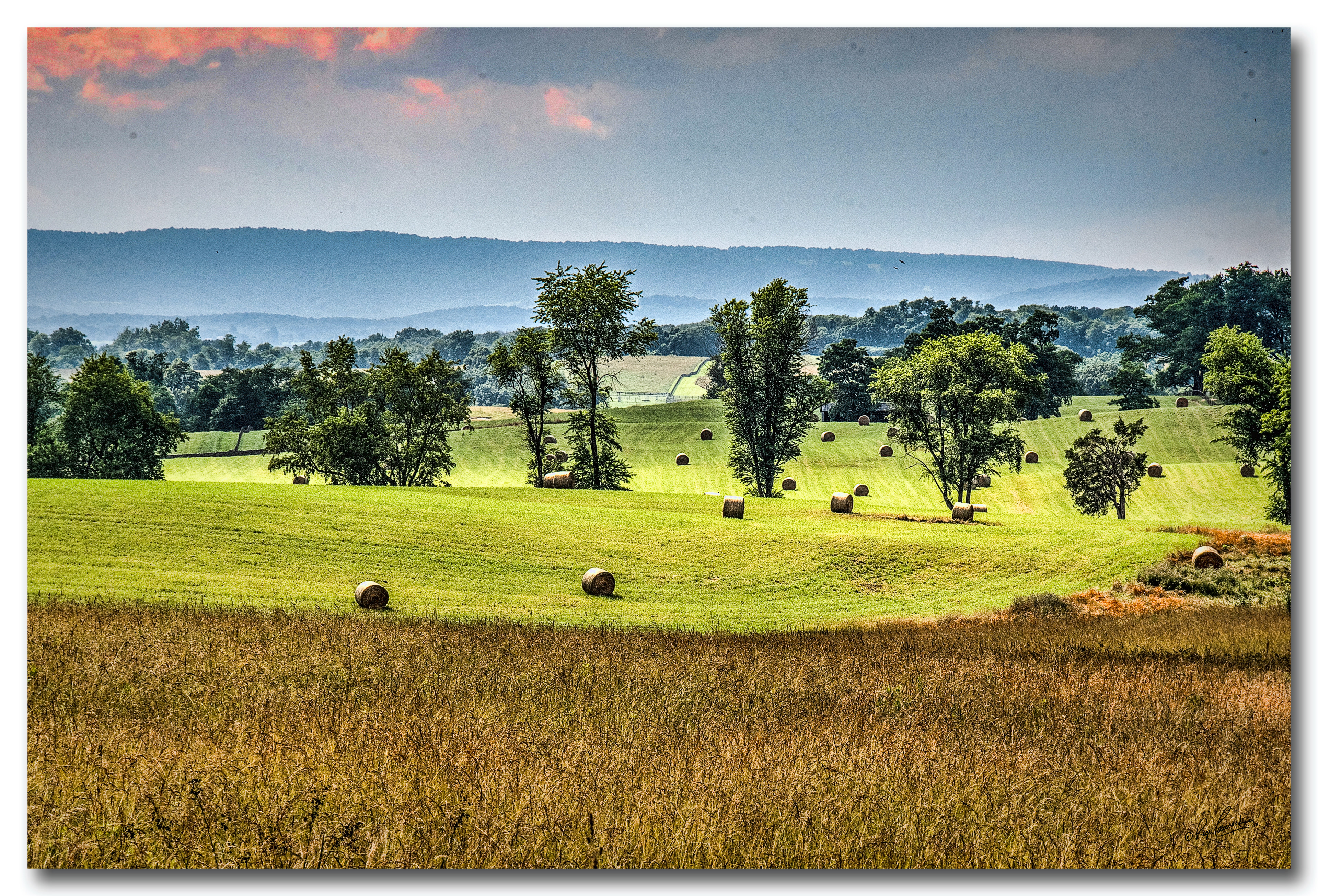 Print 20...On Zulla Road near Middleburg....