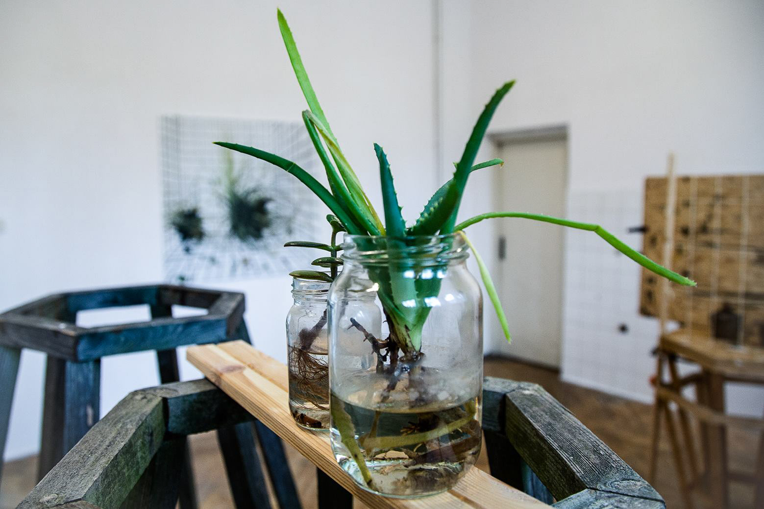 fot. Łukasz Dziedzic