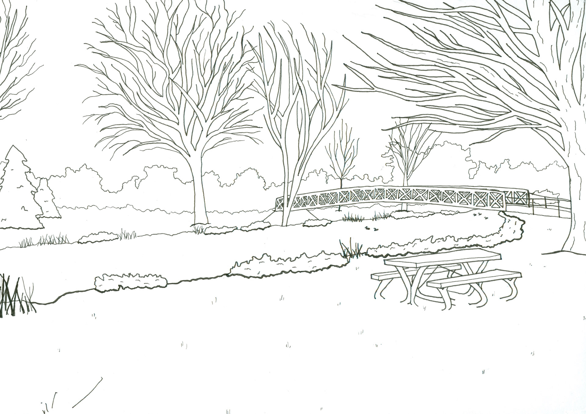 Pen—Contoured Line