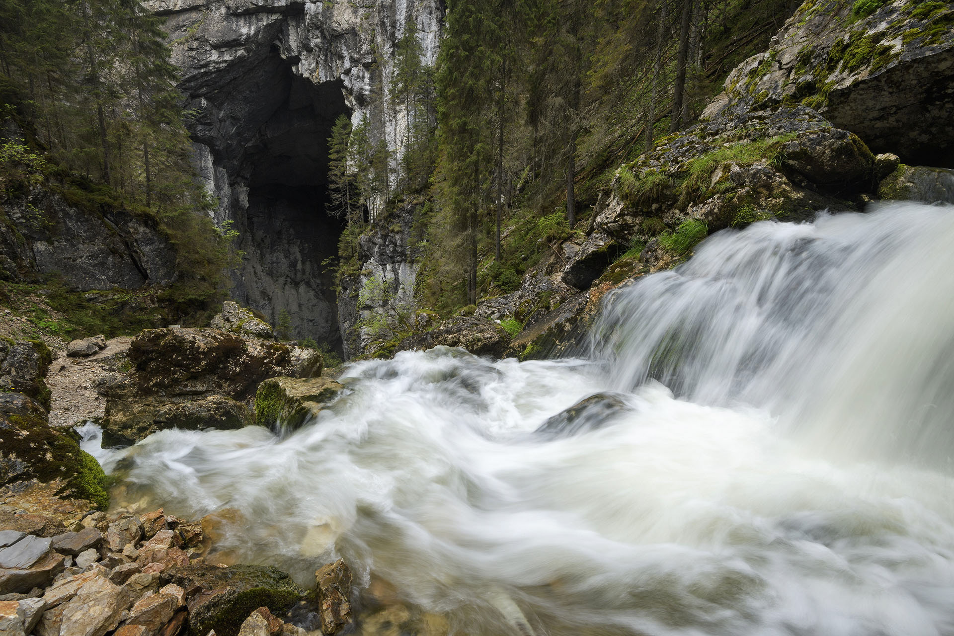 Cetățile Ponorului | Parcul natural Apuseni