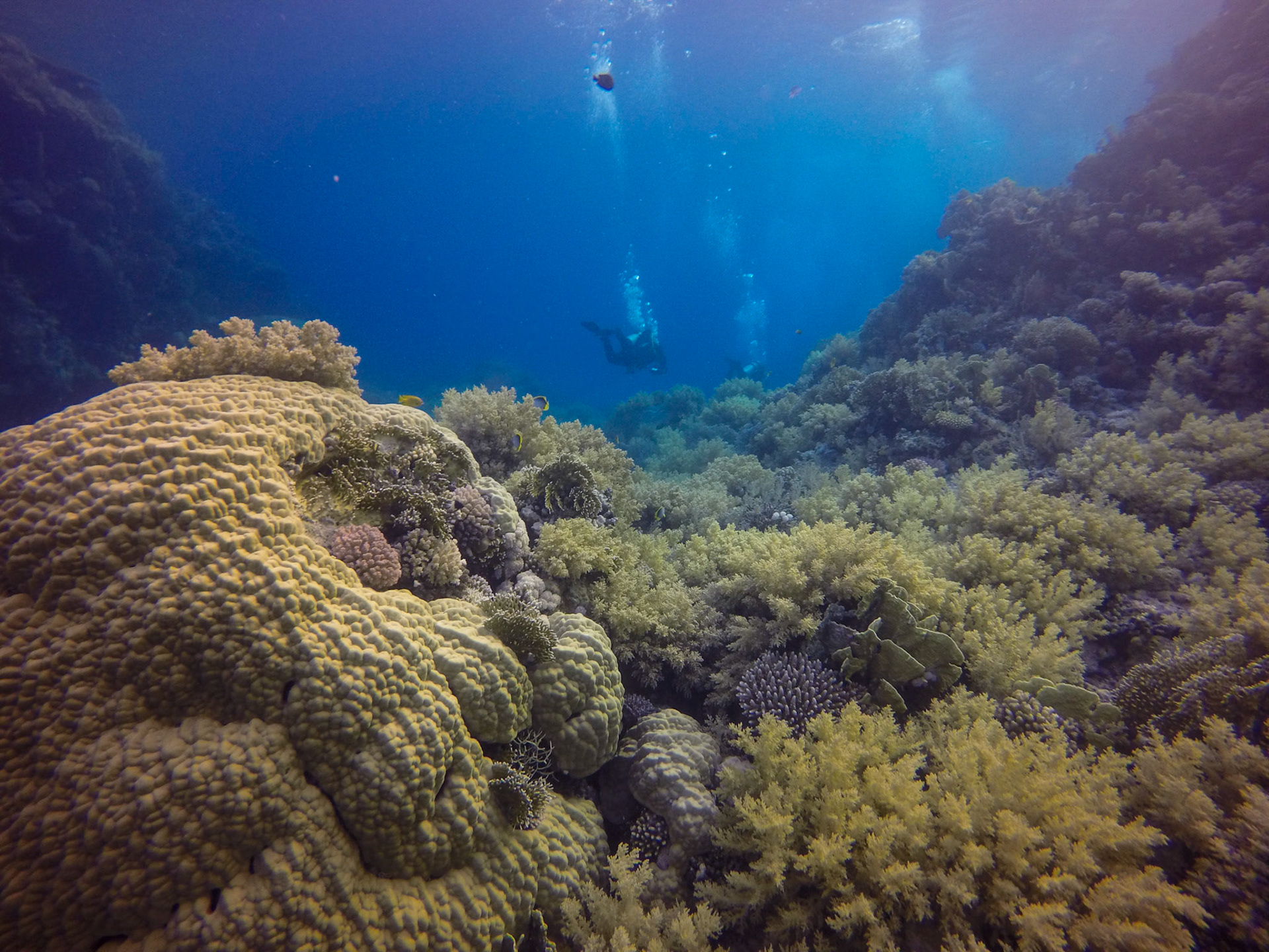 DCIM\100GOPRO\GOPR1724.