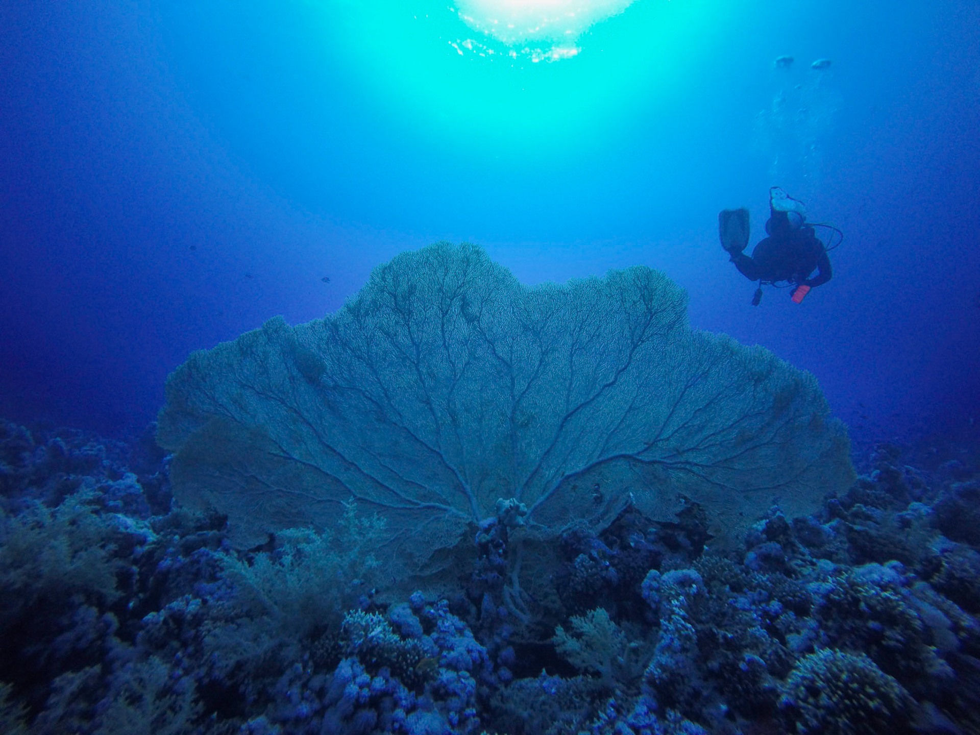 DCIM\100GOPRO\GOPR1587.