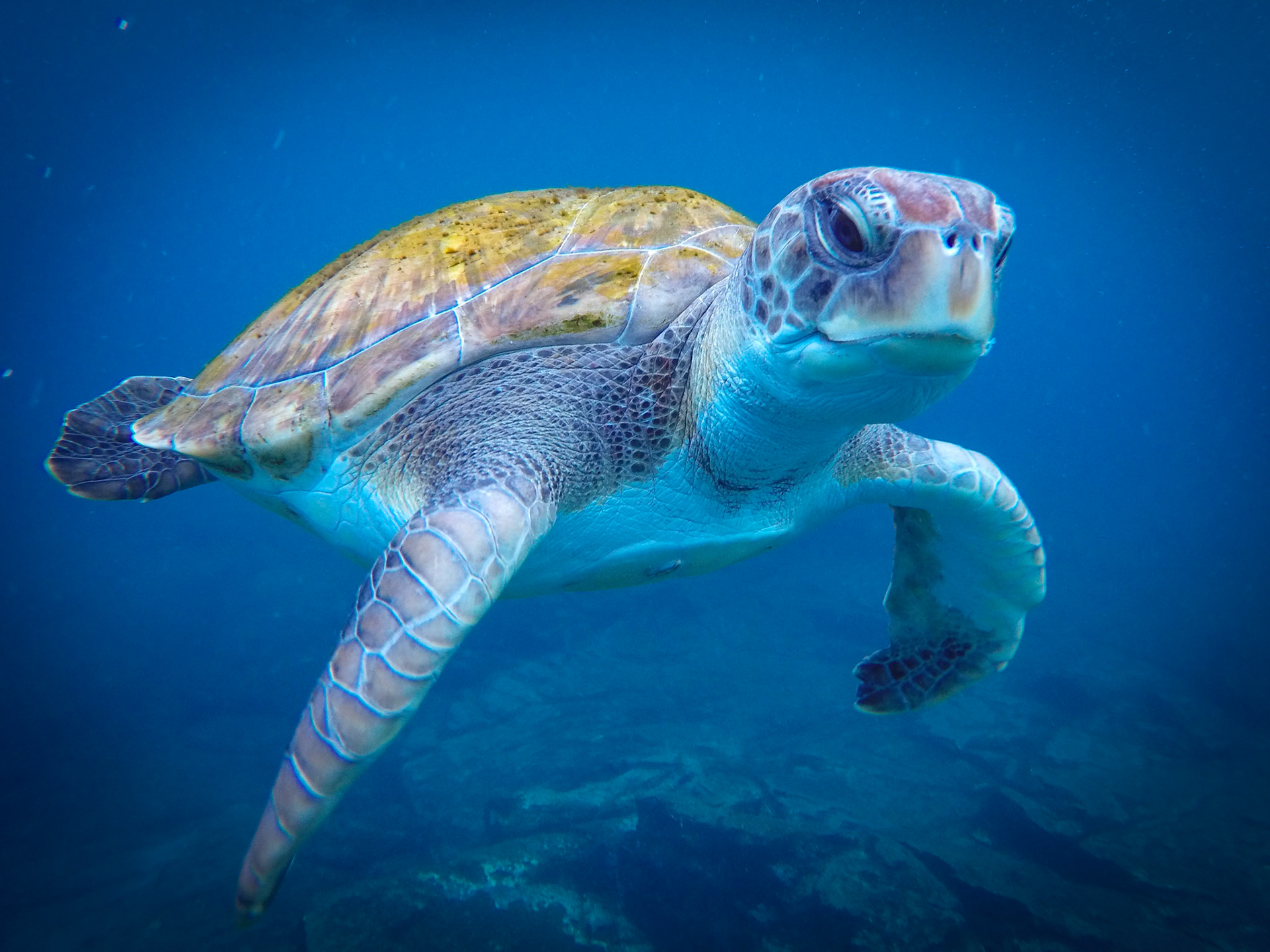 DCIM\100GOPRO\GOPR0525.