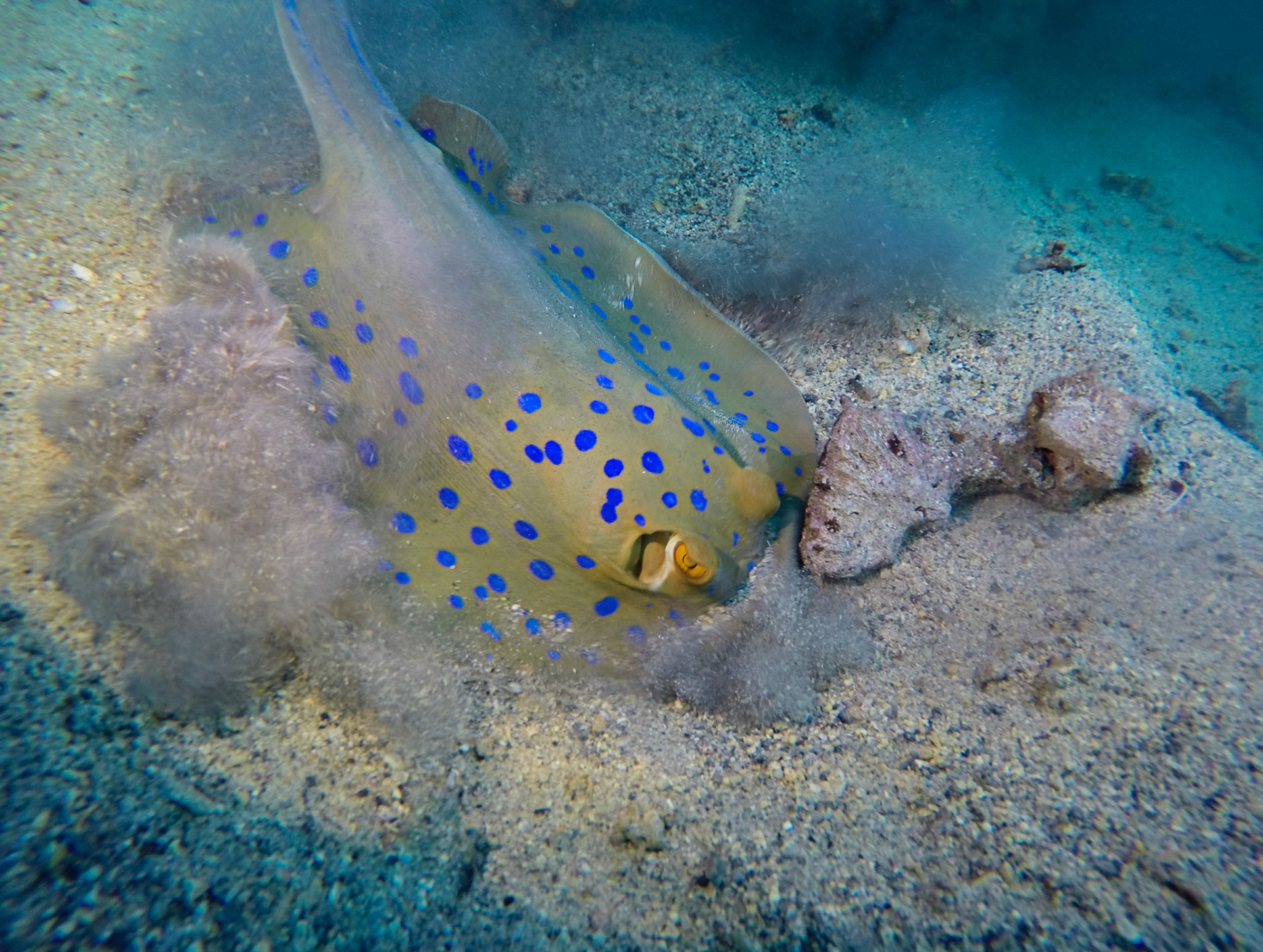 DCIM\100GOPRO\GOPR1690.