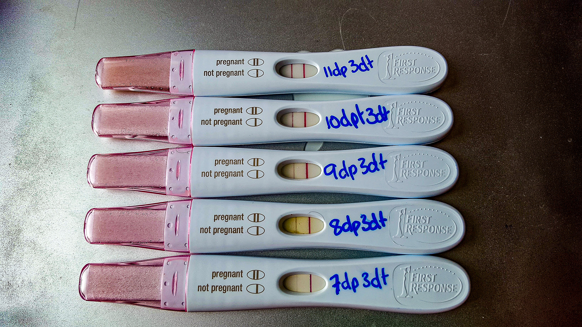 5 pregnancy tests indicating pregnancy