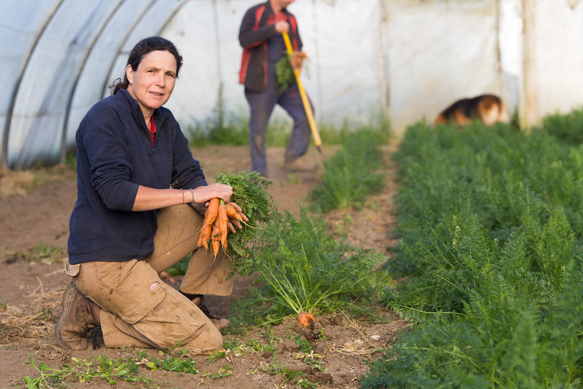 Producteur de légumes bio