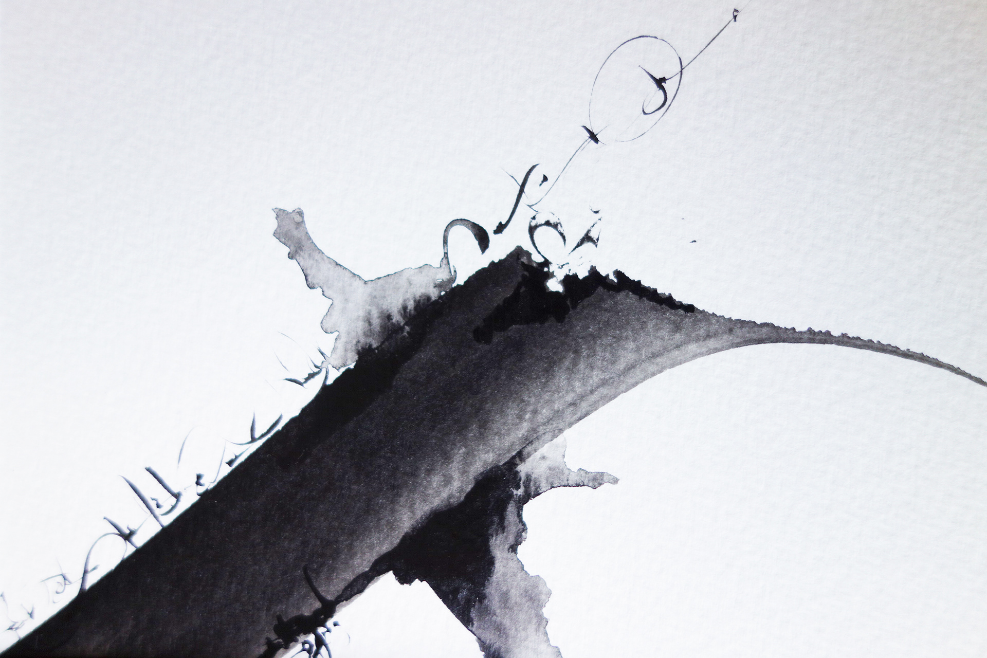Trace 1