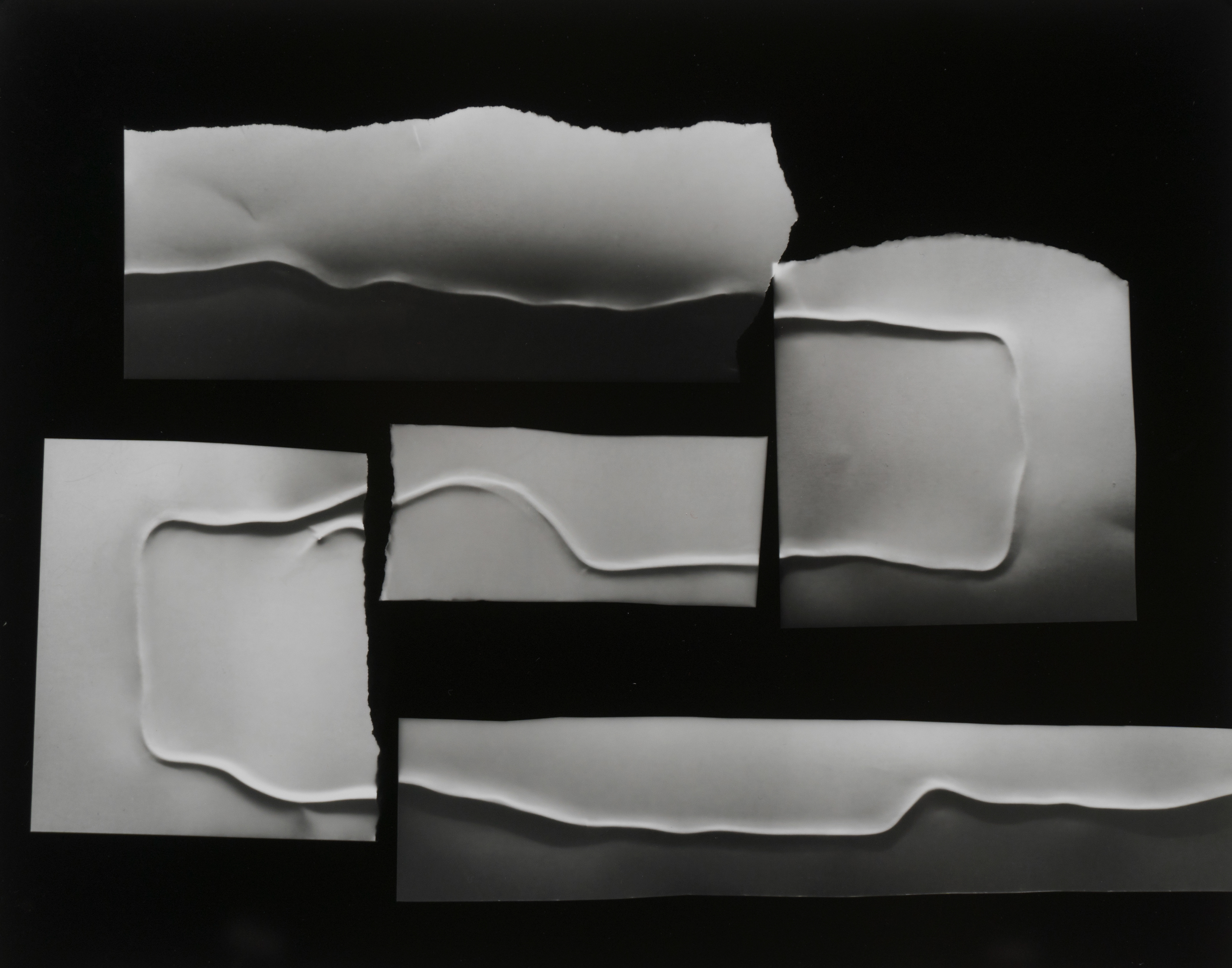 Untitled, 2019, unique photogram, 14"x11"