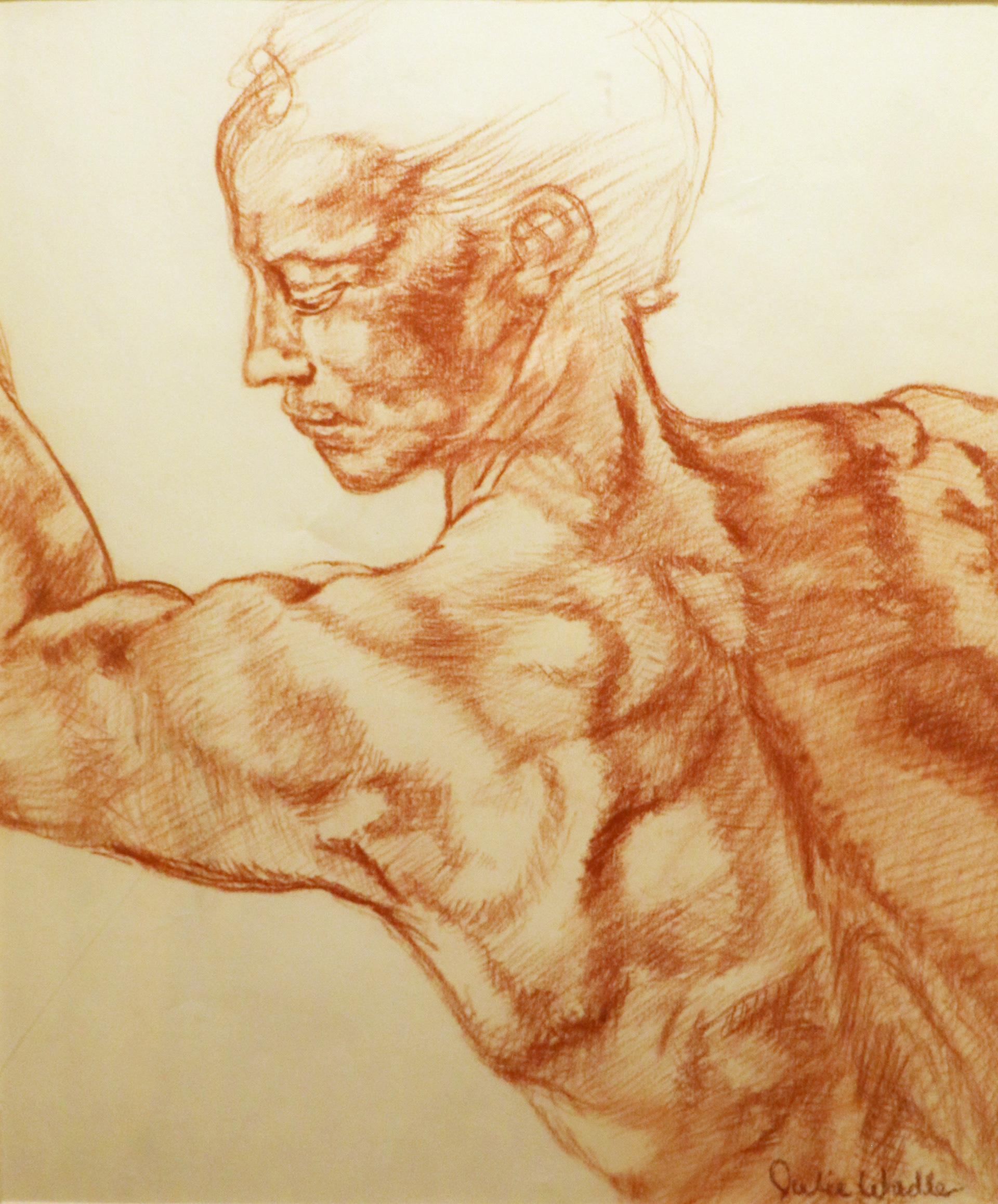 Figure Study of Michelangelo's Libyan Sibyl