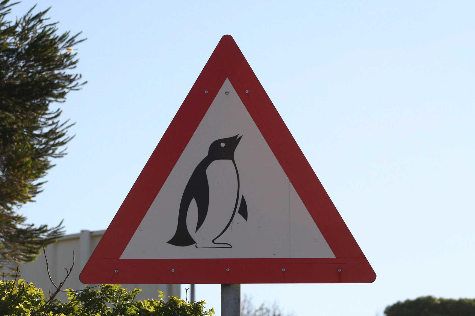 Road sign, Boulders Beach