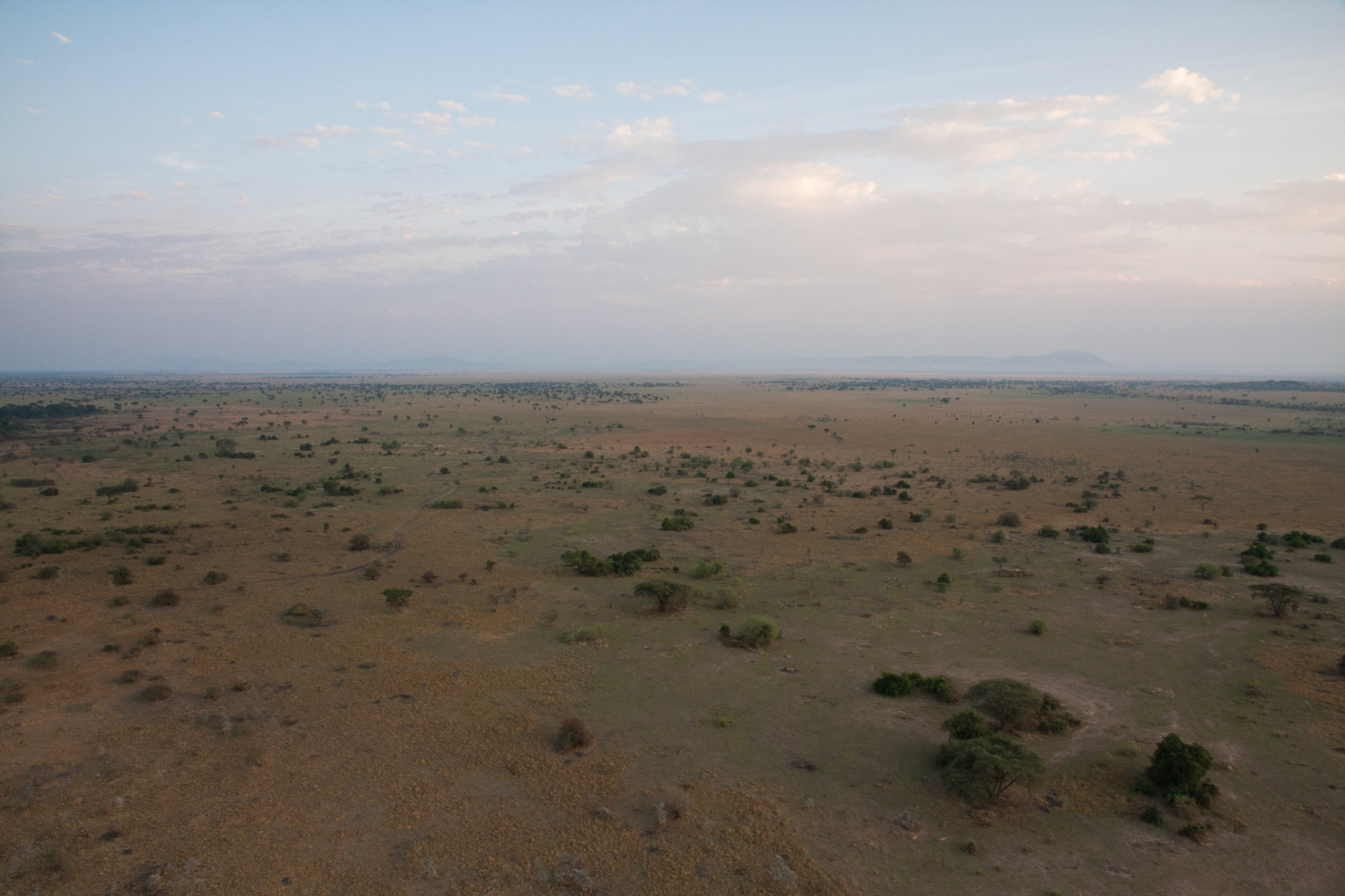 The Serengeti, from a hot air balloon
