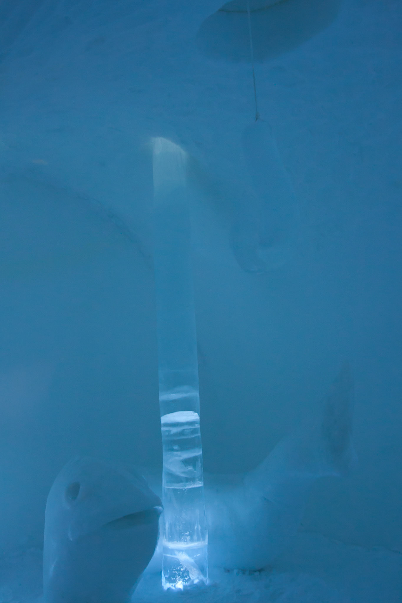 Art suite: "ice fishing"