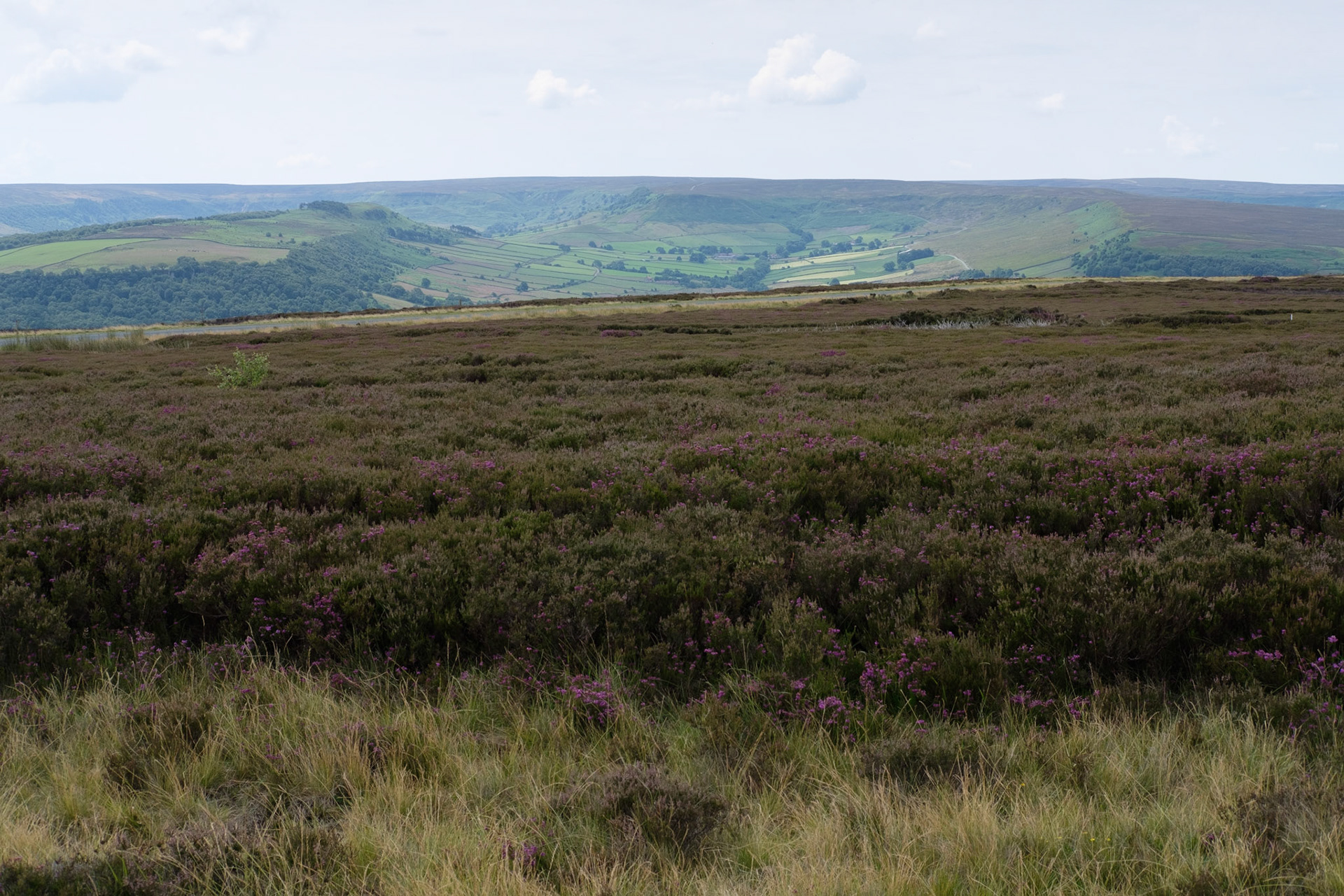 View from Danby Beacon