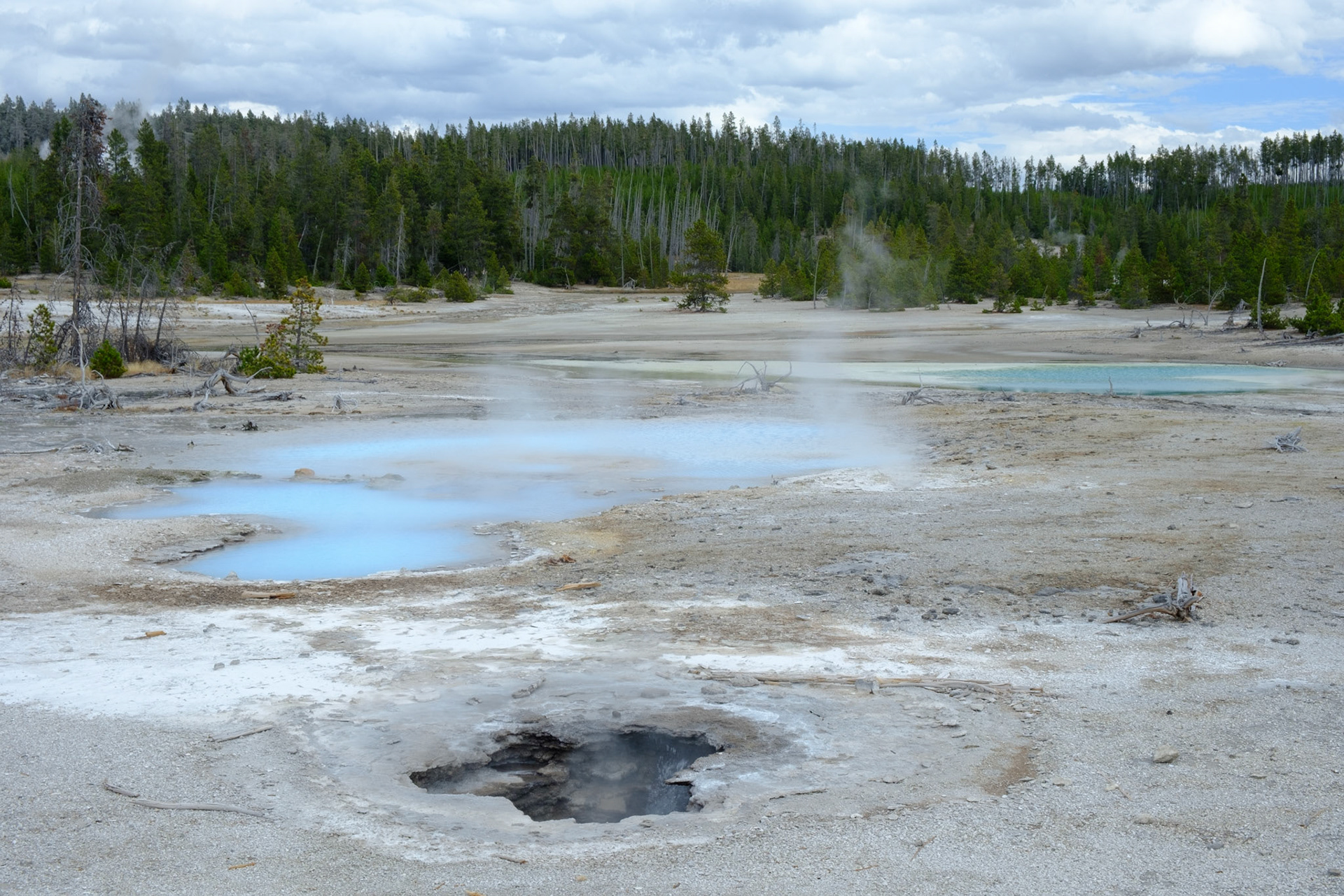 Norris Geyser Basin