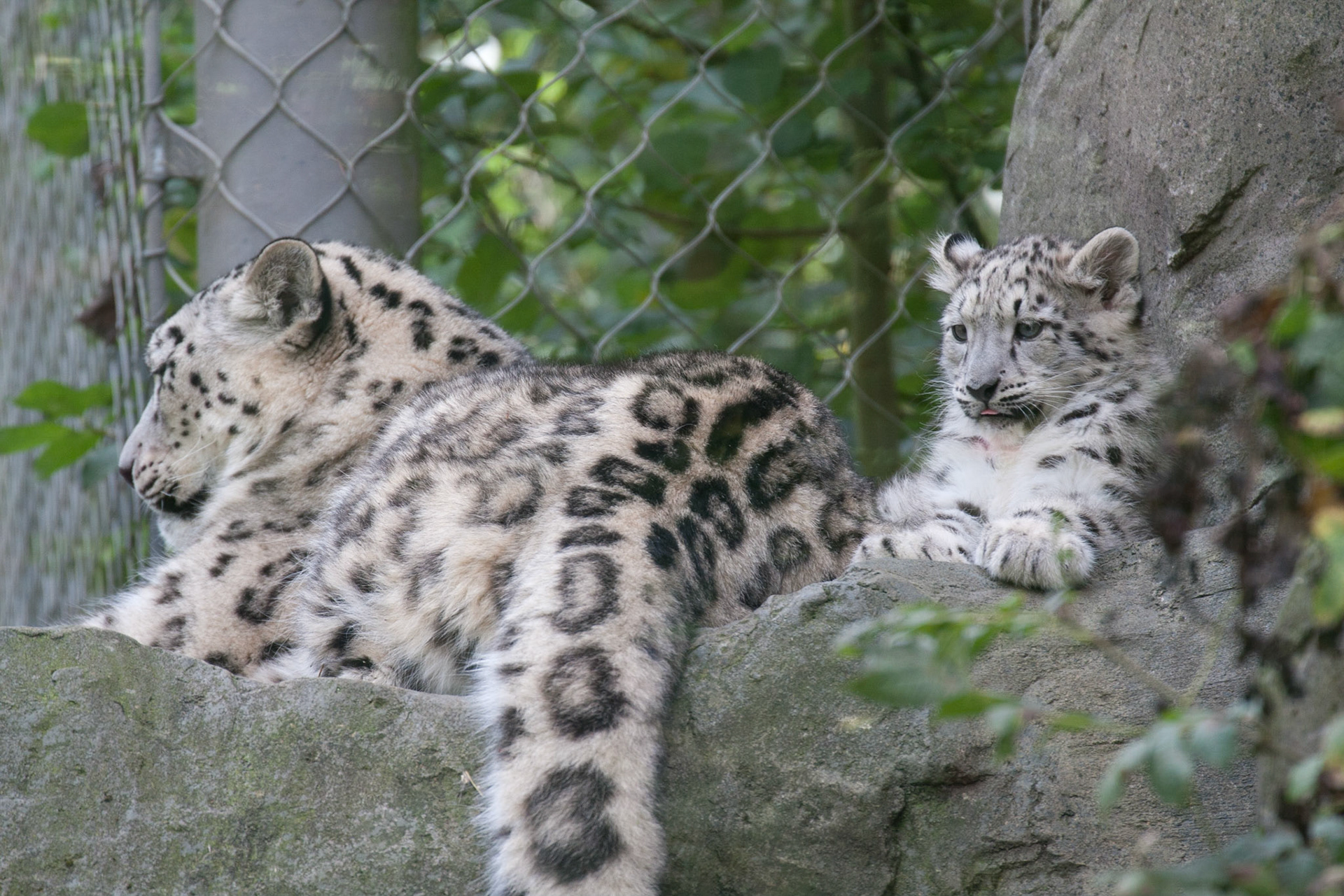 Mum has a good vantage point
