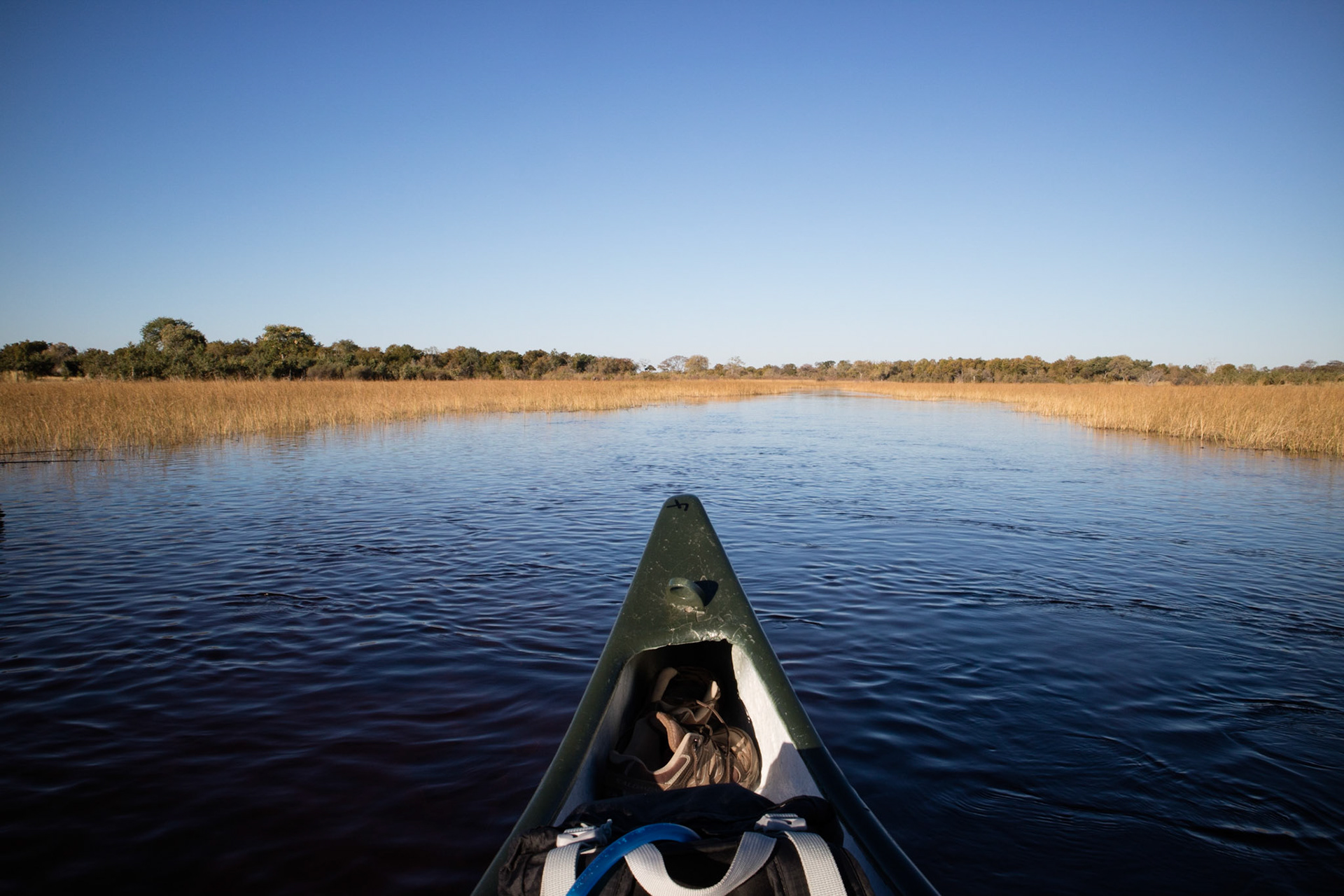 Canoeing along the Selinda Spillway