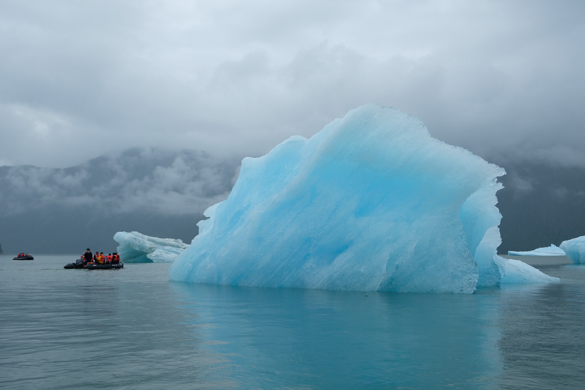 Icebergs, LeConte Bay