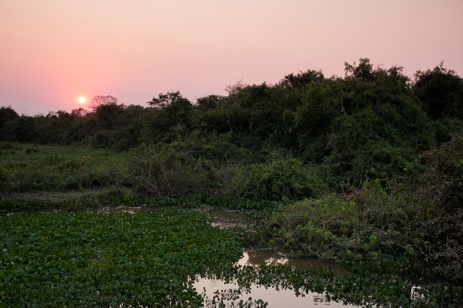 Sunset in the Pantanal