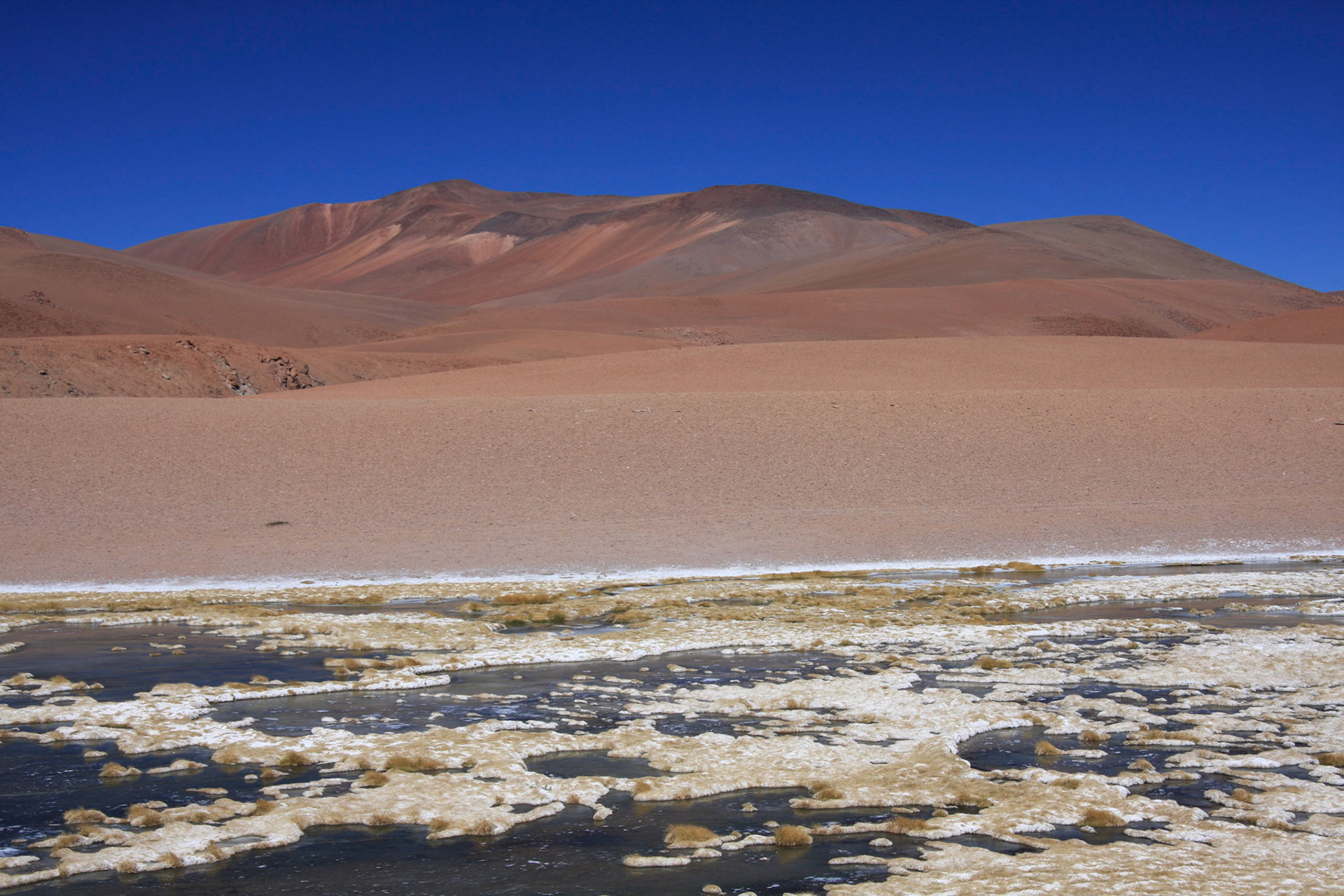 Jama Pass views (Quepiaco wetland)