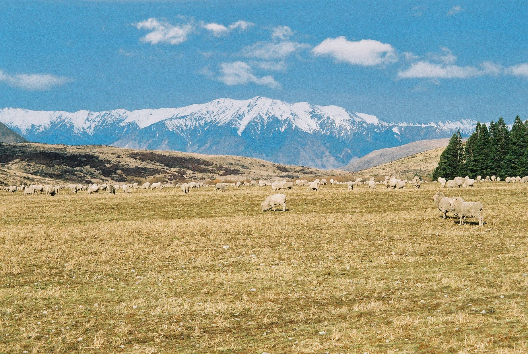 South Island, New Zealand