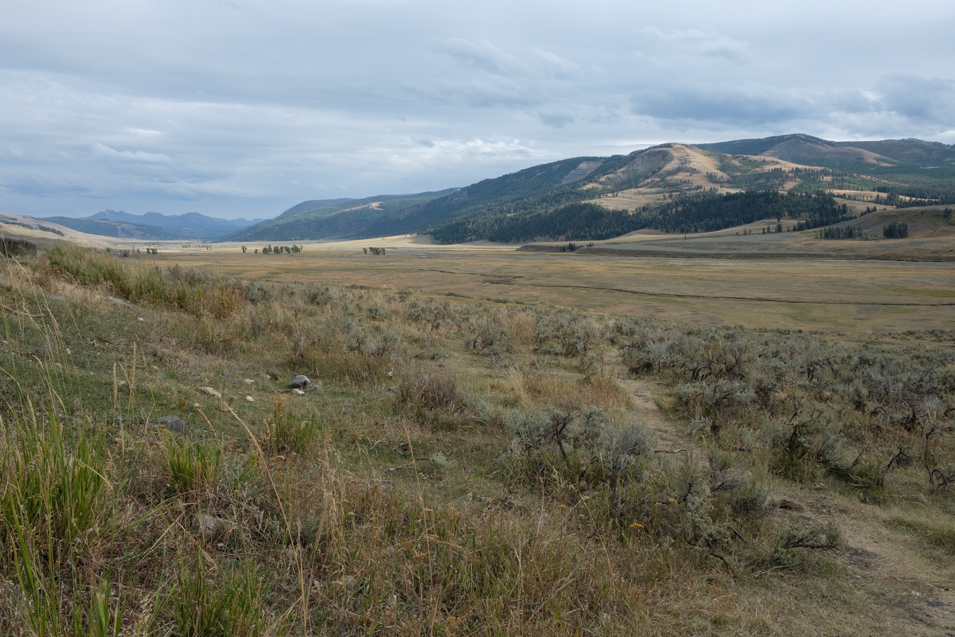 Approaching the Lamar Valley