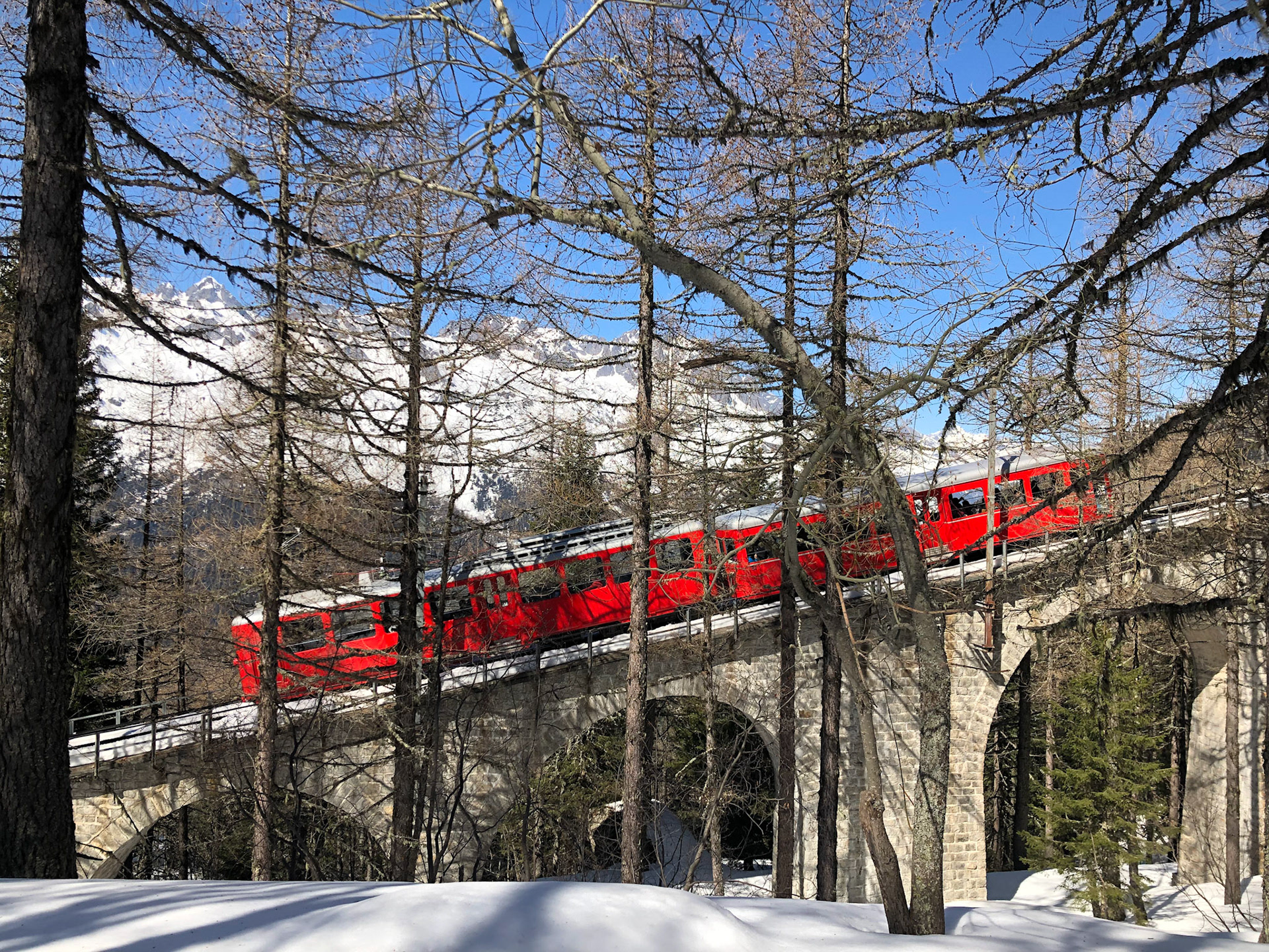Train crossing the viaduct near Montenvers