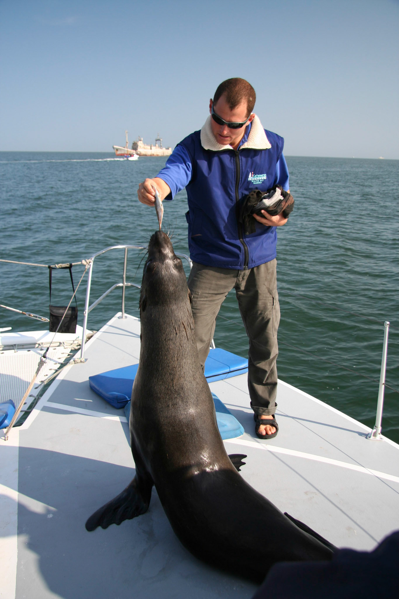 Piccolo eating fish on the deck of our boat