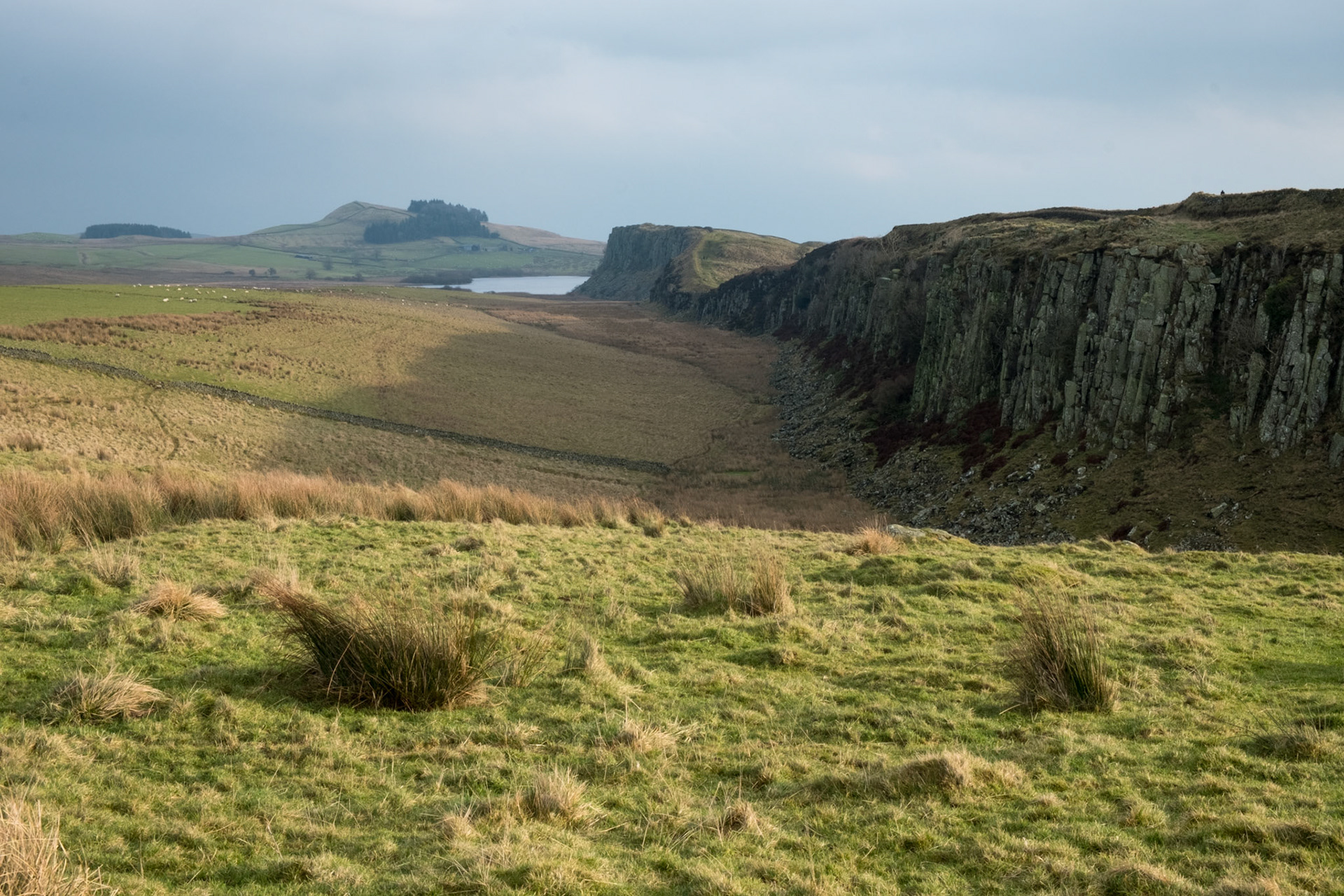 Hadrian's Wall on the top of the ridge at Steel Rigg