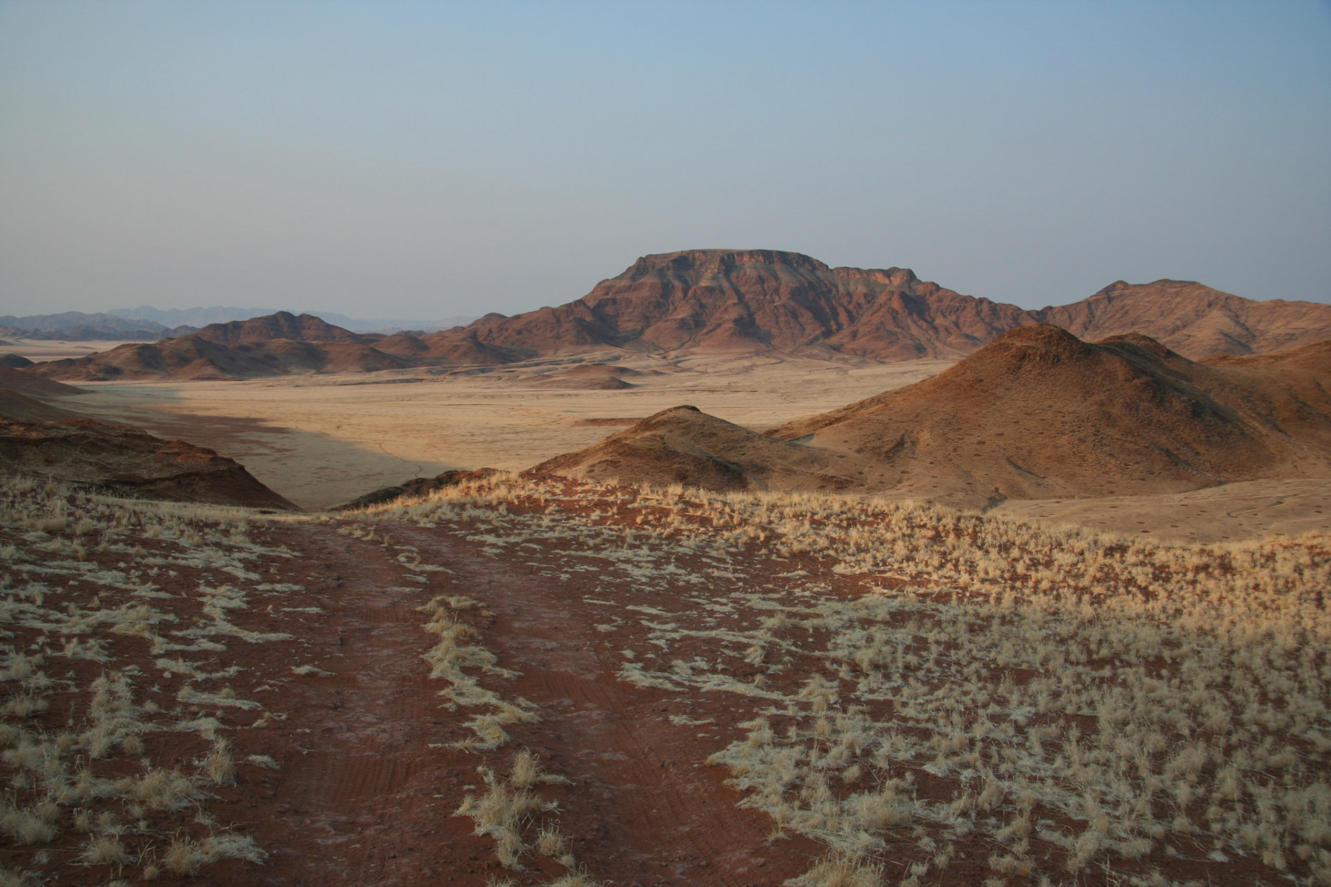 View from the top of the petrified dune