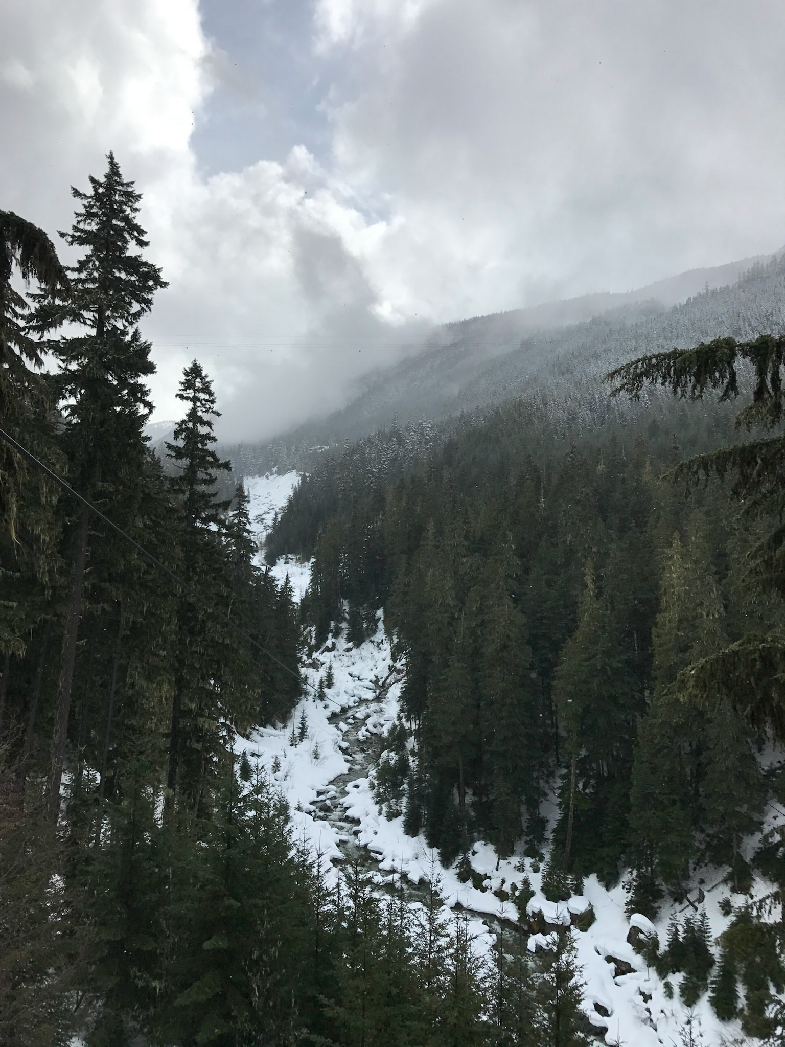 View over the Fitzsimmons Creek from Ziptrek