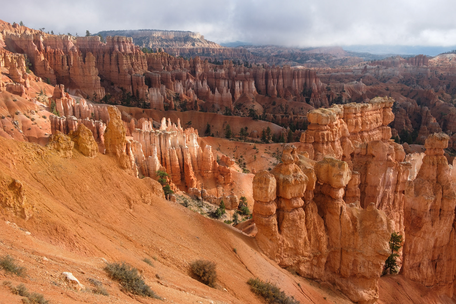 View from Twin Bridges Trail