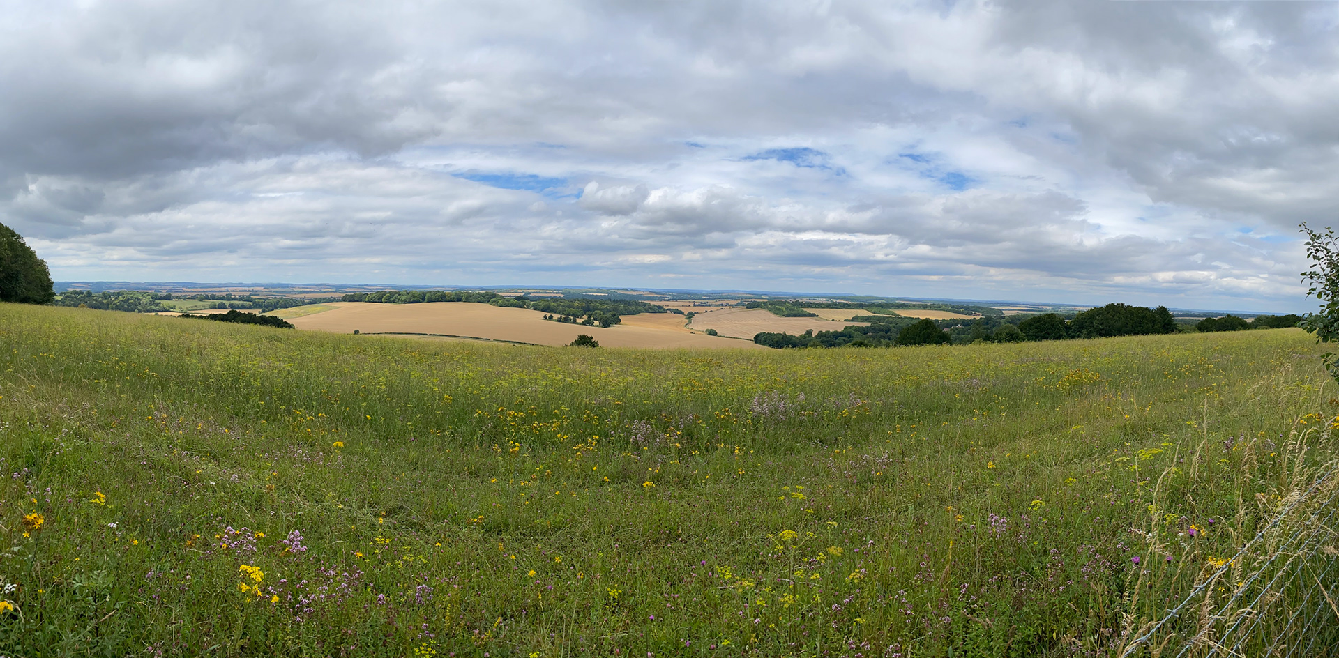 View from Beacon Hill