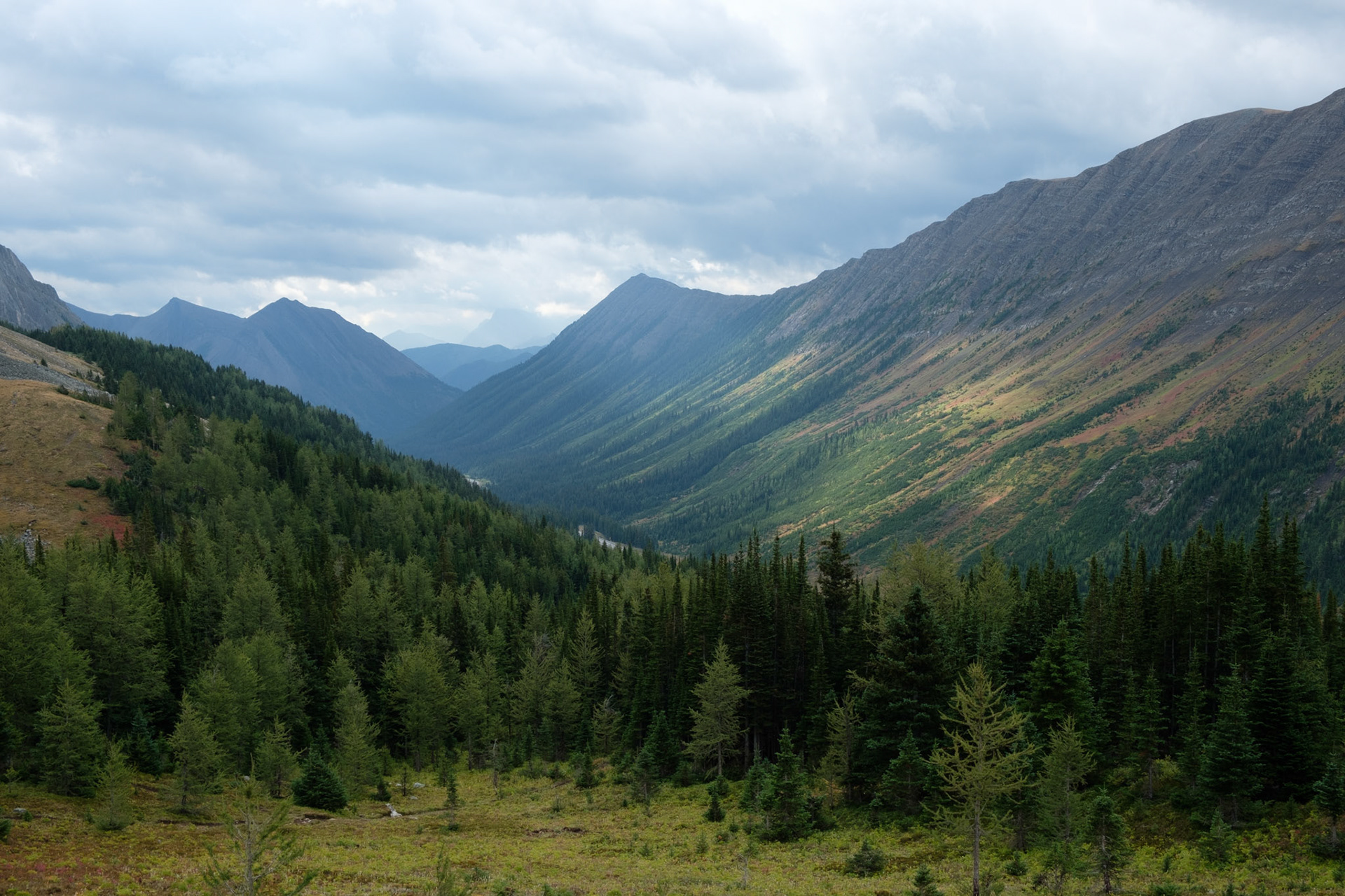 View from Ptarmigan Cirque hike