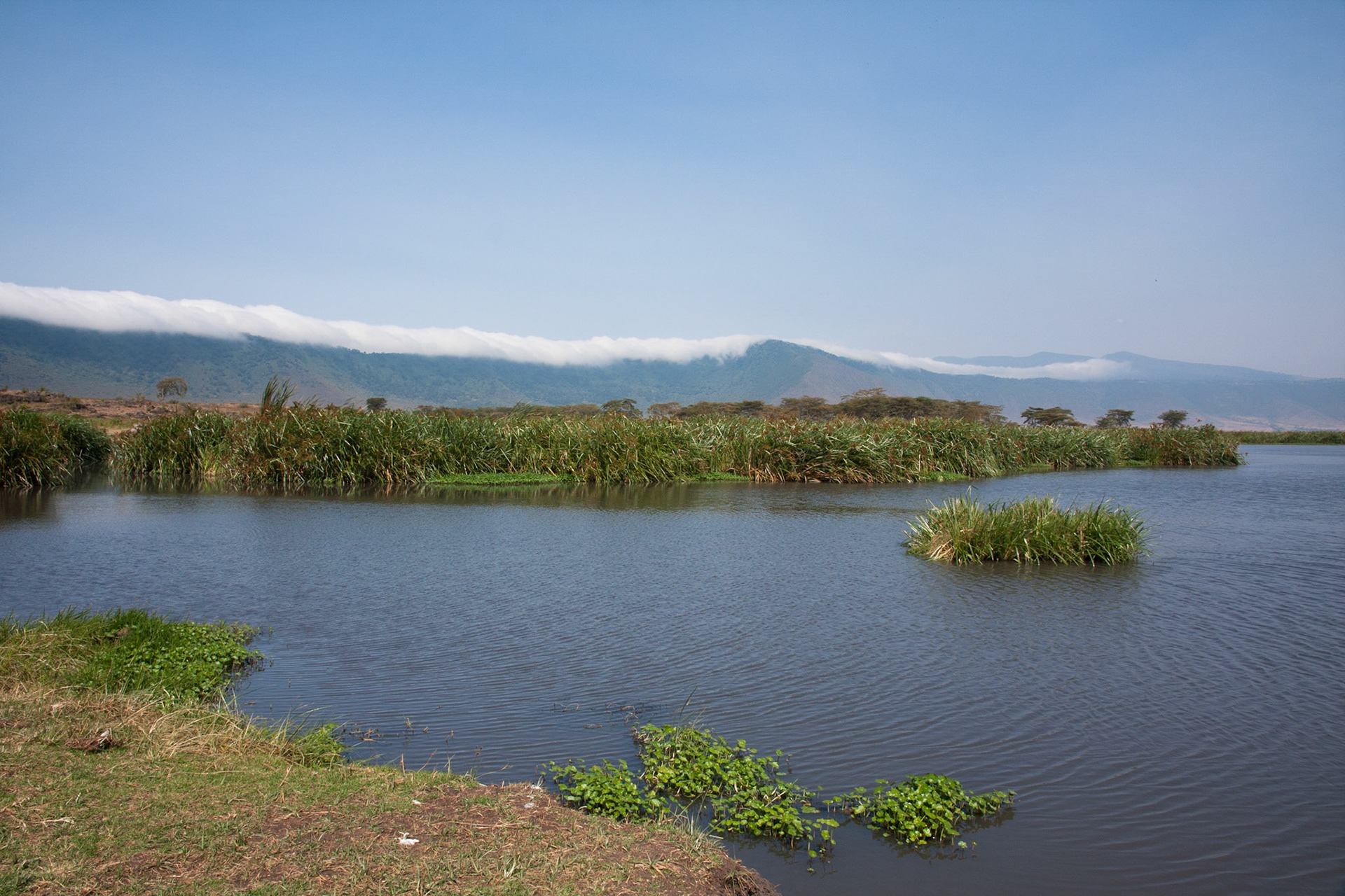 View from the Ngorongoro Crater floor