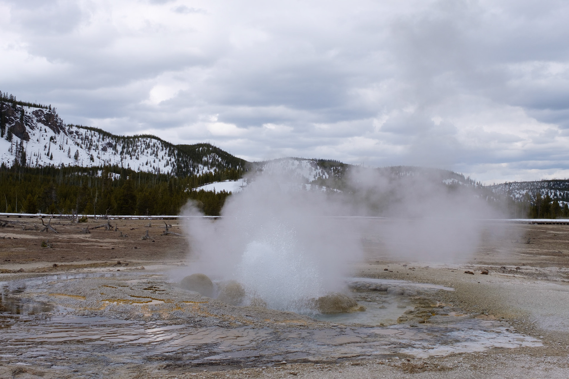 Jewel Geyser, Biscuit Basin, Yellowstone NP