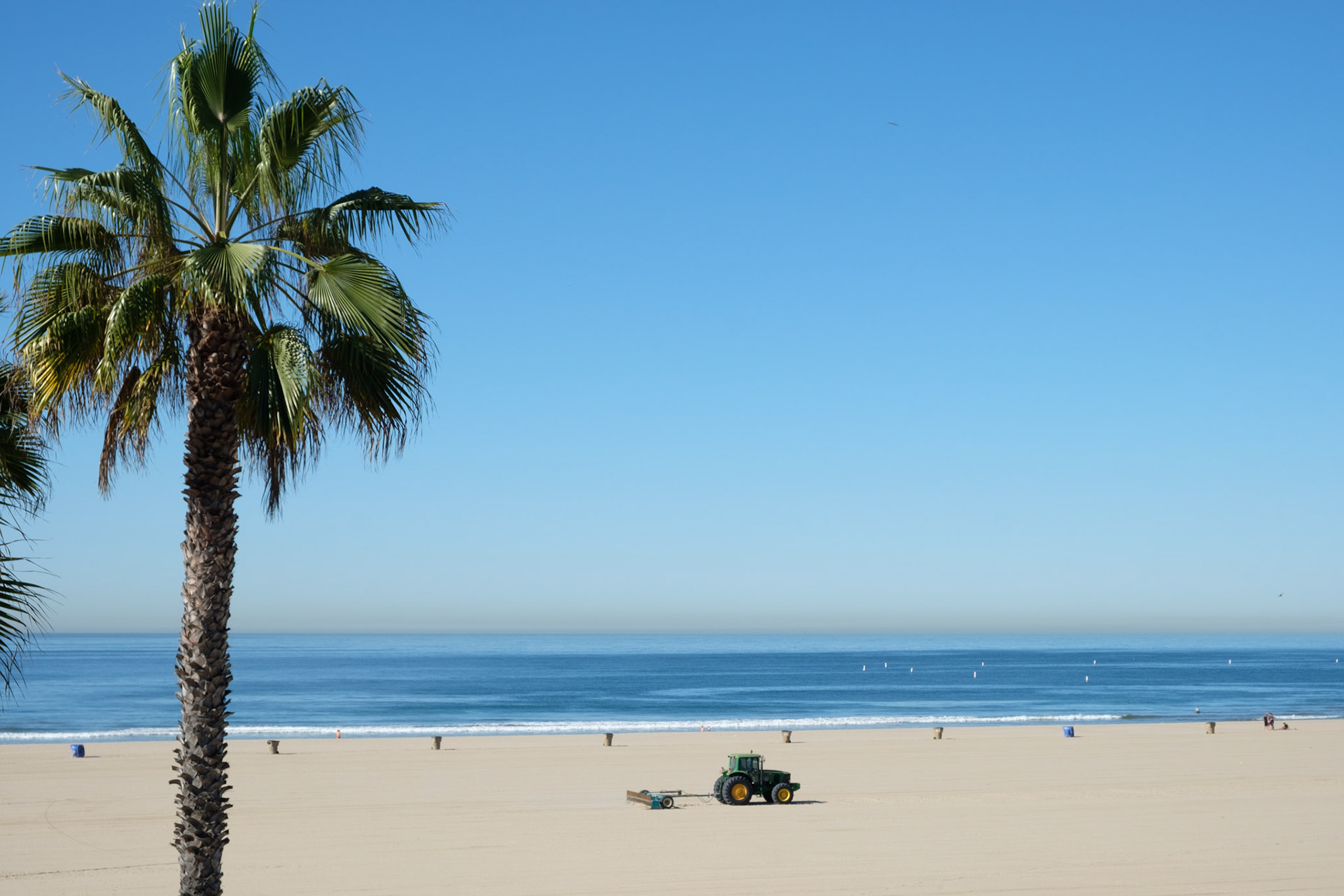 Grooming the sand in the morning!