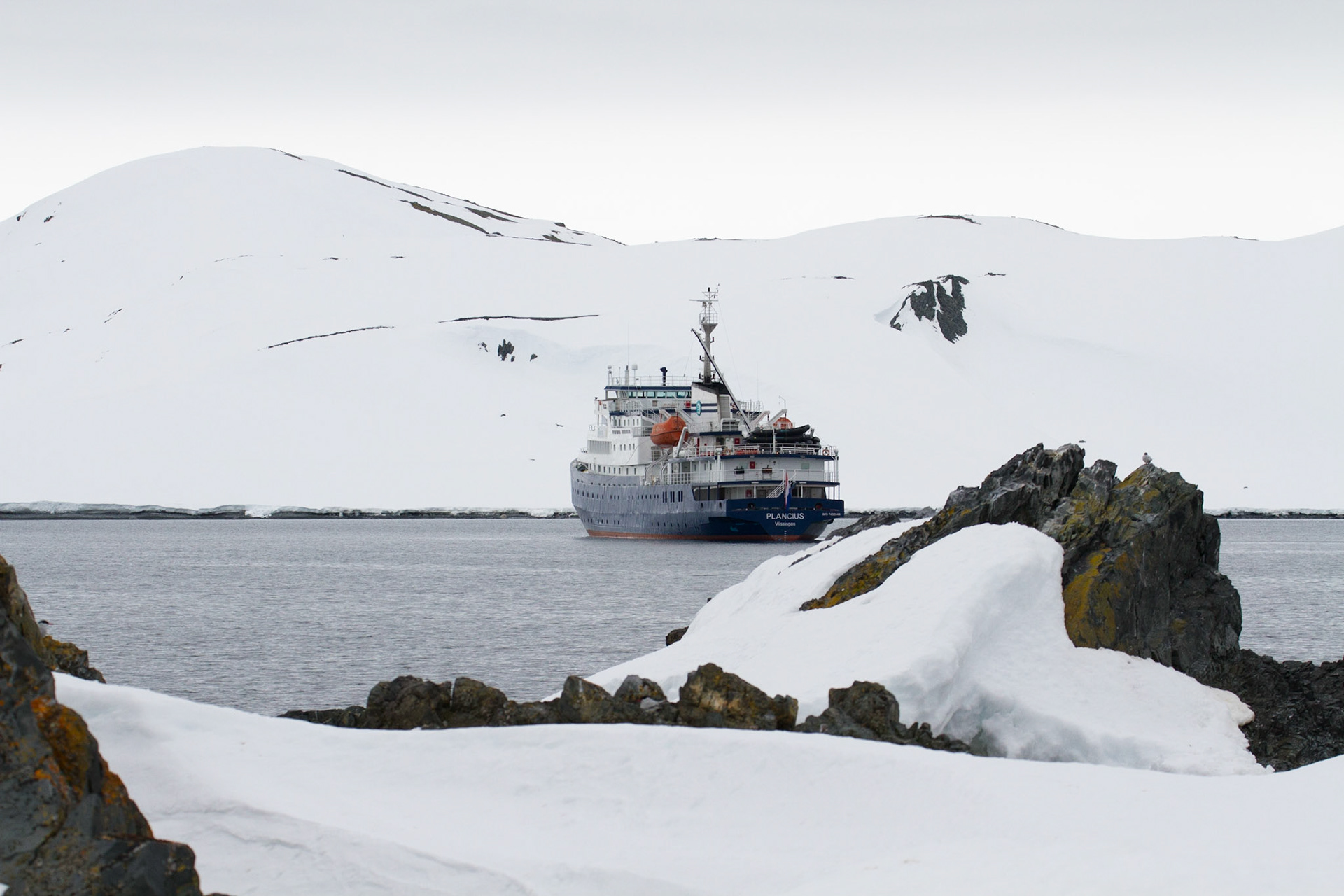 Plancius at Half Moon island