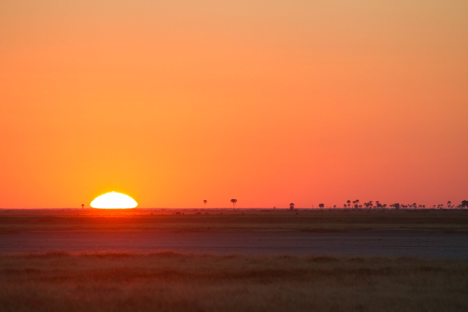 Sunset in the Makgadikgadi