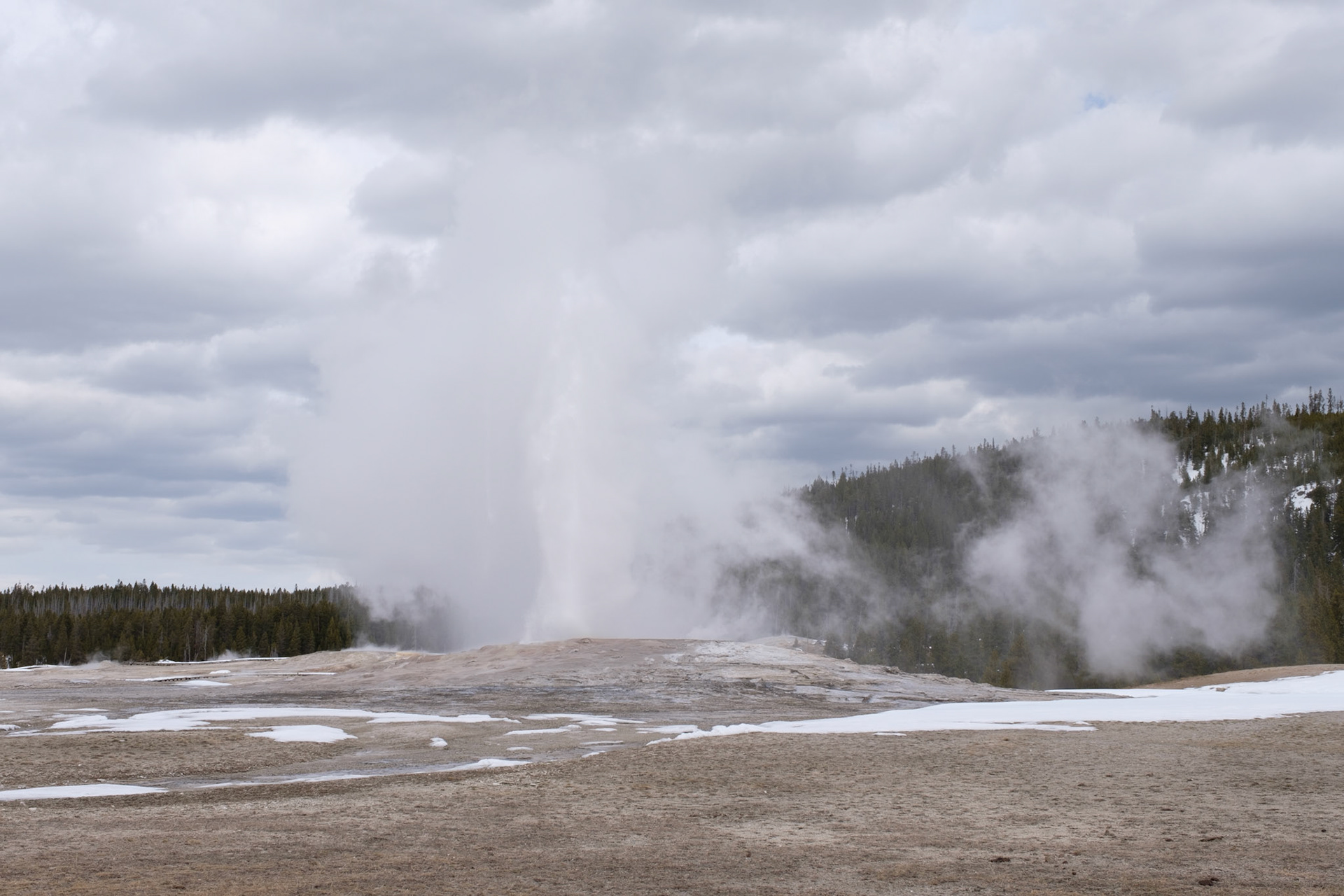Old Faithful