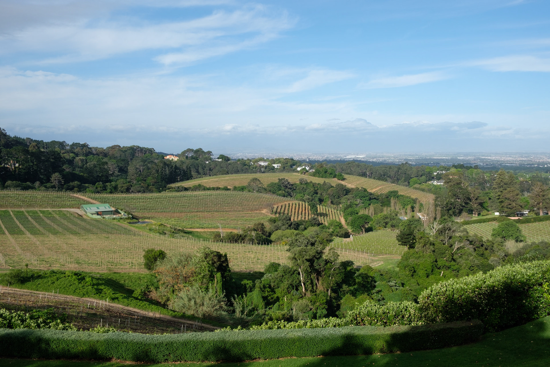 View from Beau Constantia