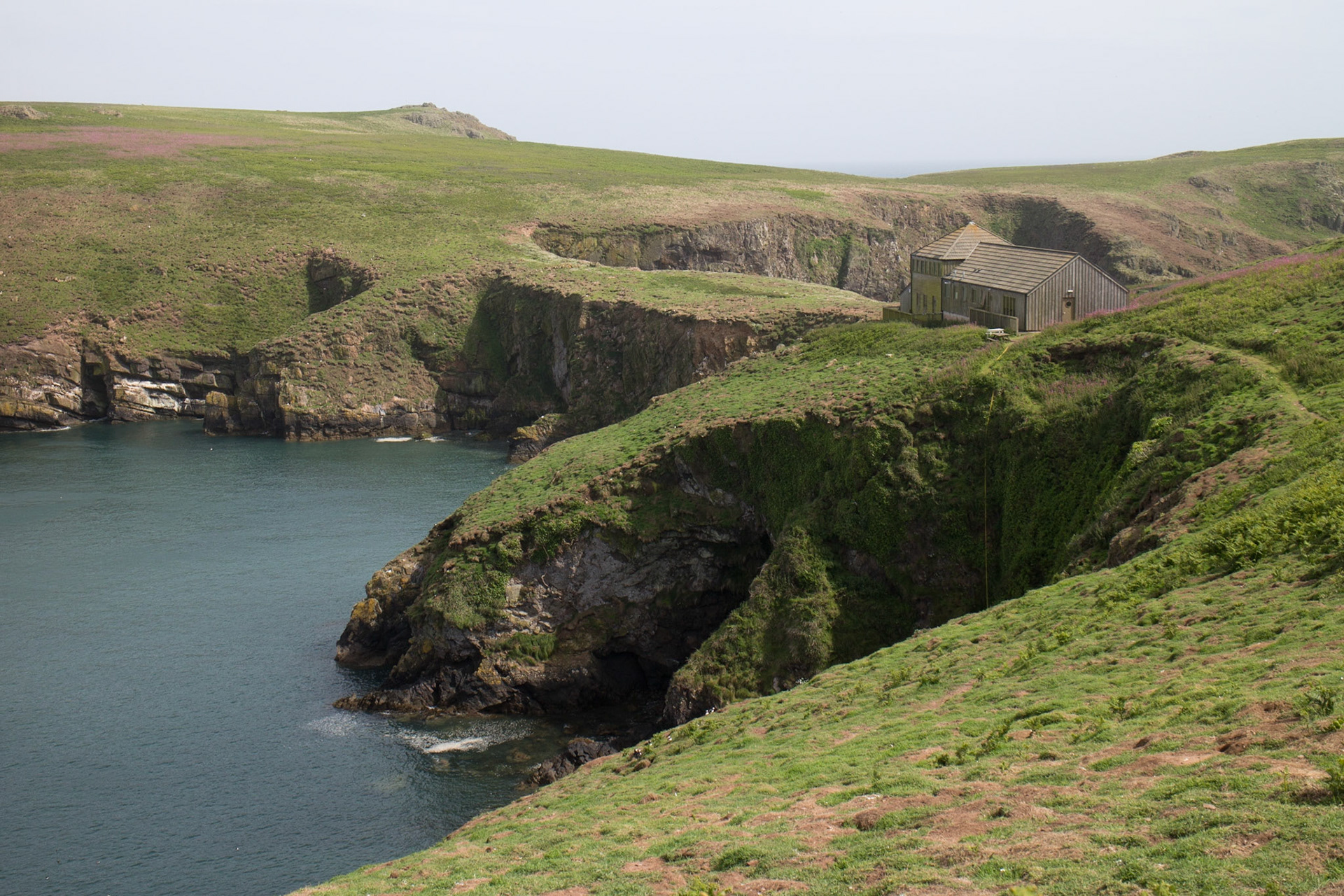 Warden's house on Skomer