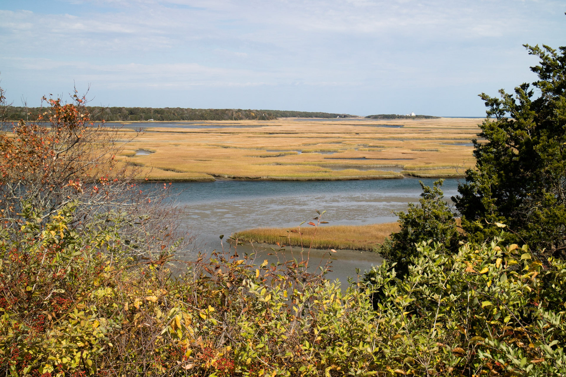 Nauset Salt Marsh from Fort Hill trail