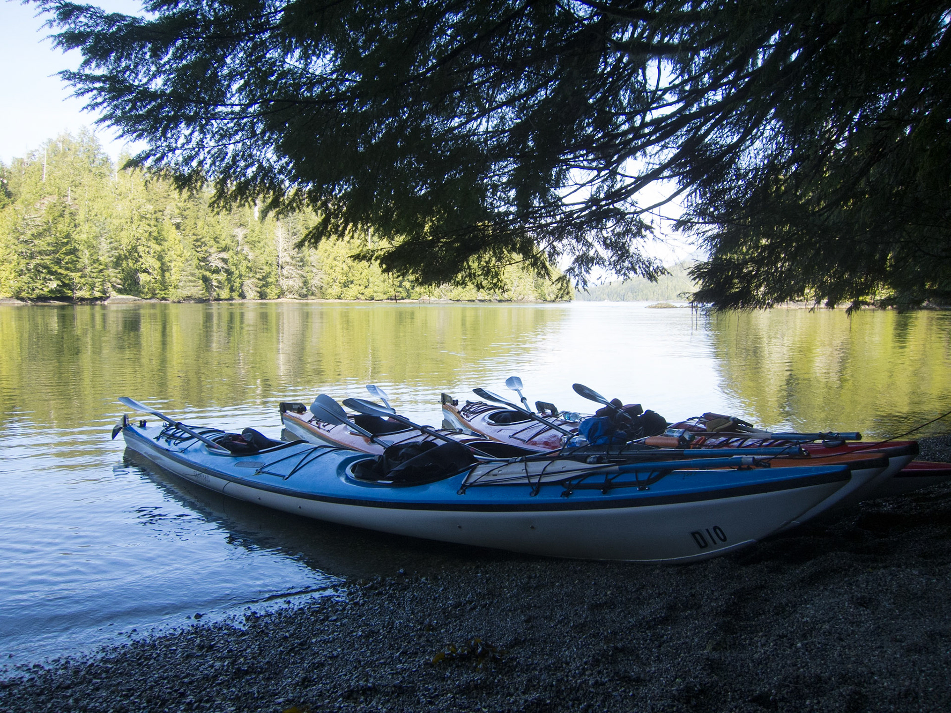 Kayaks on the beach, Meares Island