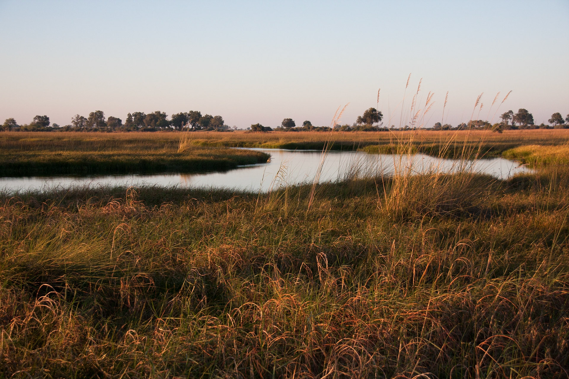 Okavango Delta