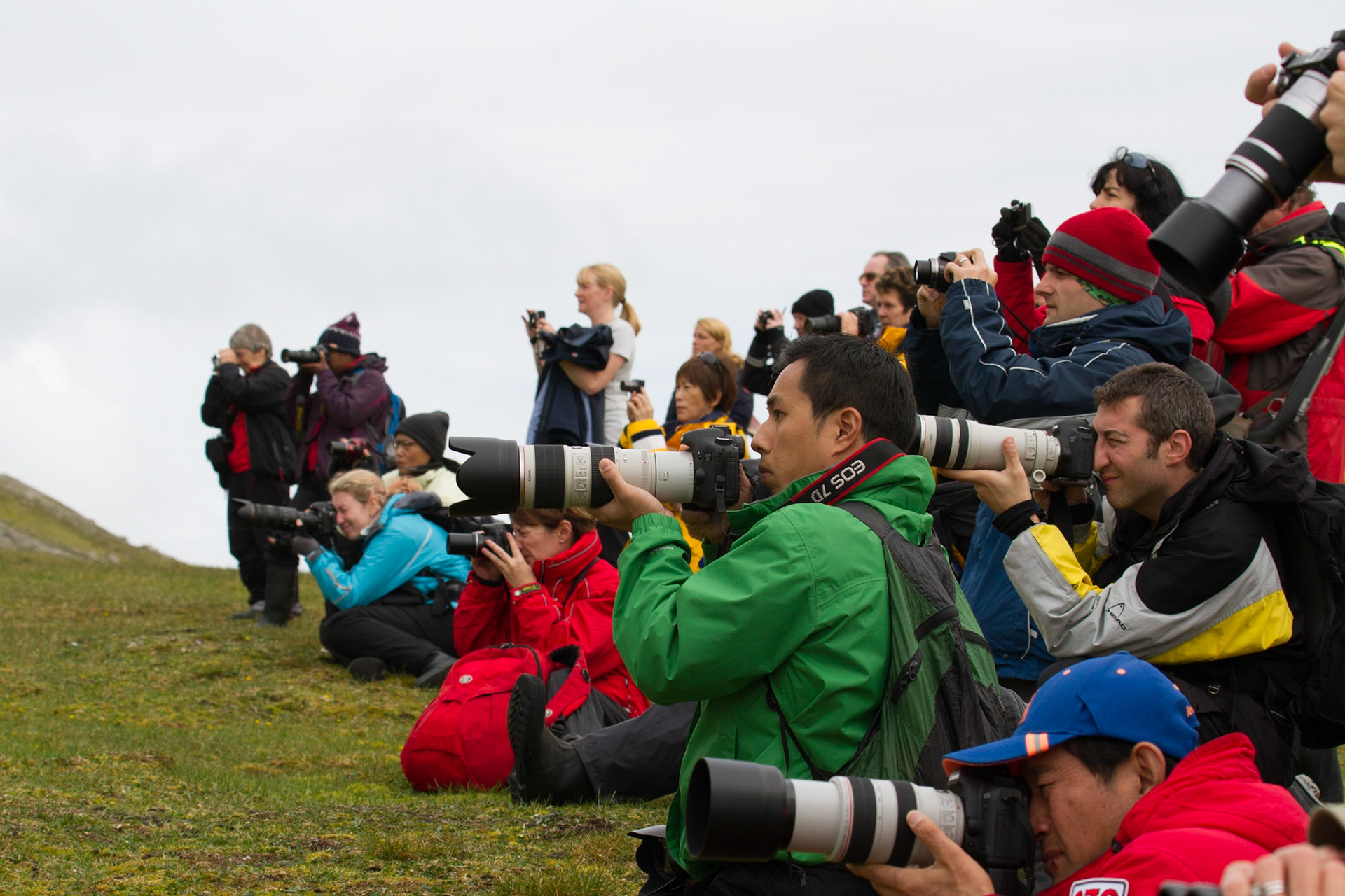 The paparazzi lined up in front of the foxes!