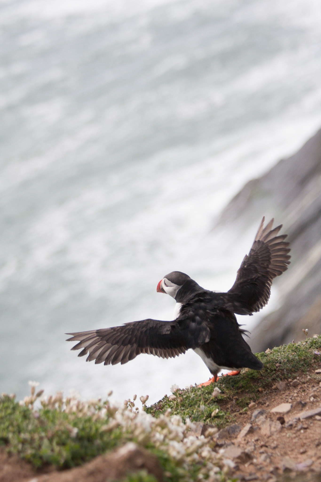 Preparing to take off
