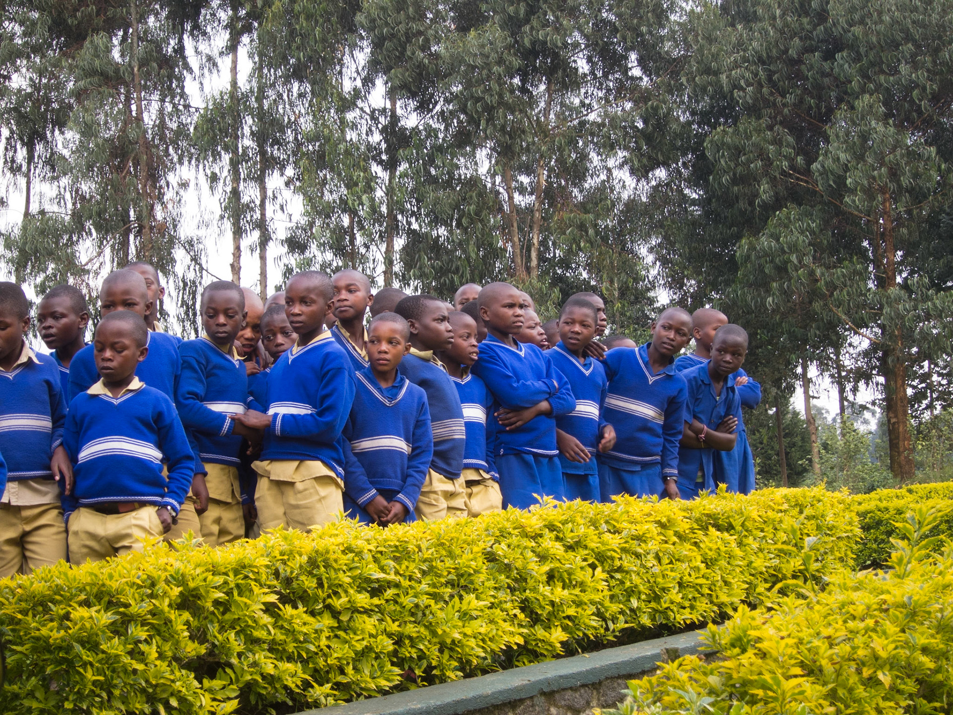 Local school children at the Gorilla Park centre