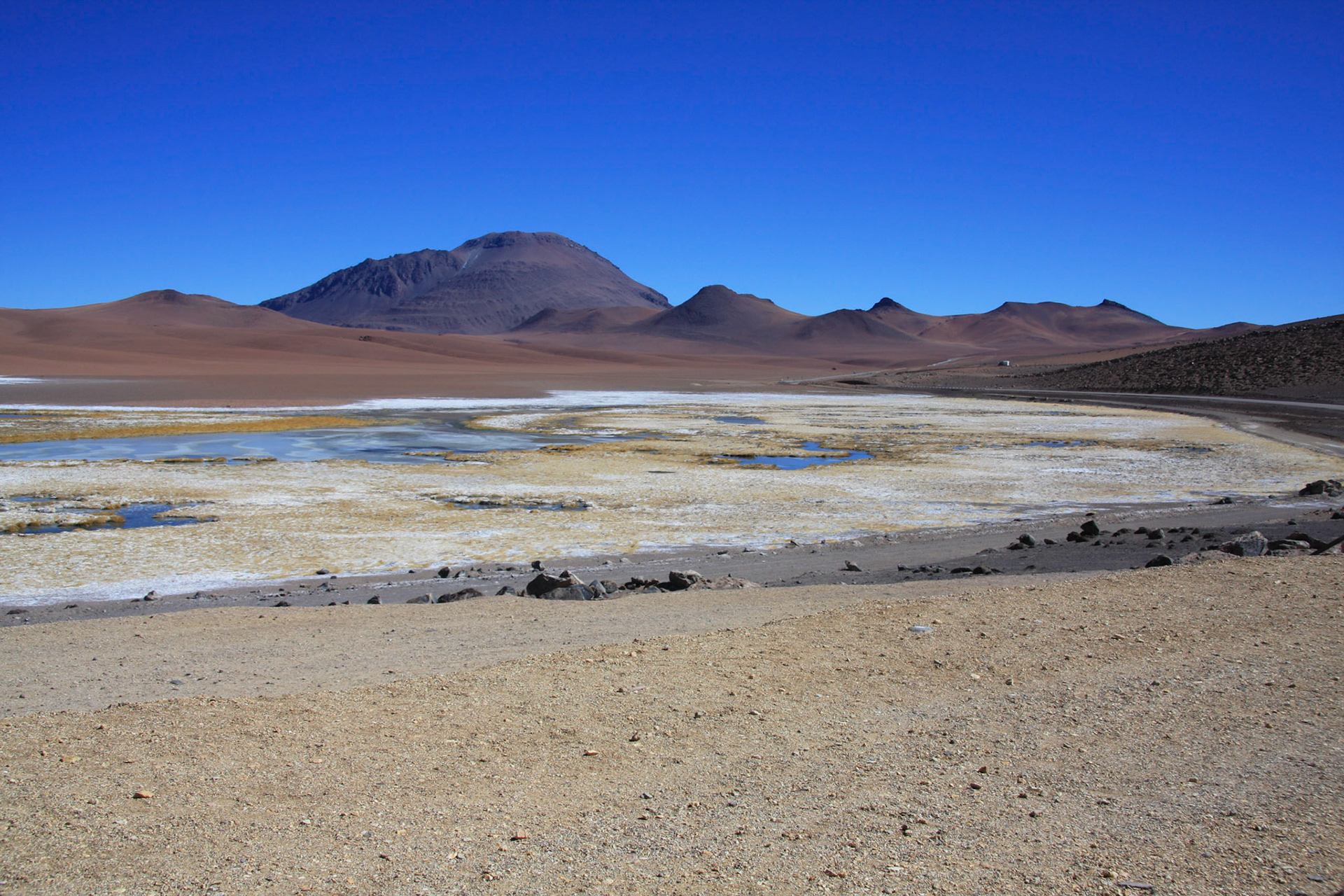 Jama Pass views (Quepiaco wetland)