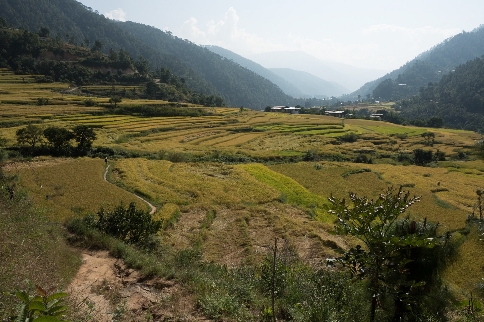 View from Khansum Yulley trail