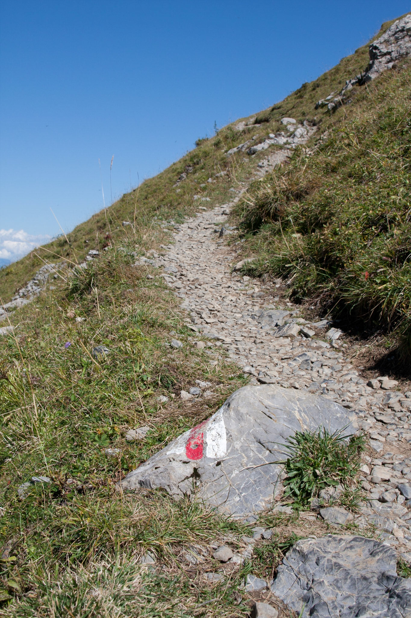 Marking the trail, Hahnenmoos - Luegli